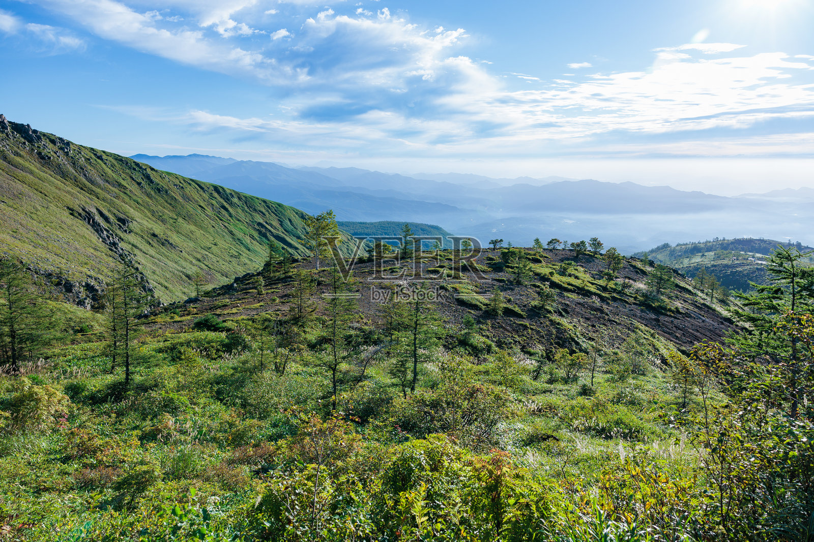 草津白根山南麓的夏季山丘风光。照片摄影图片