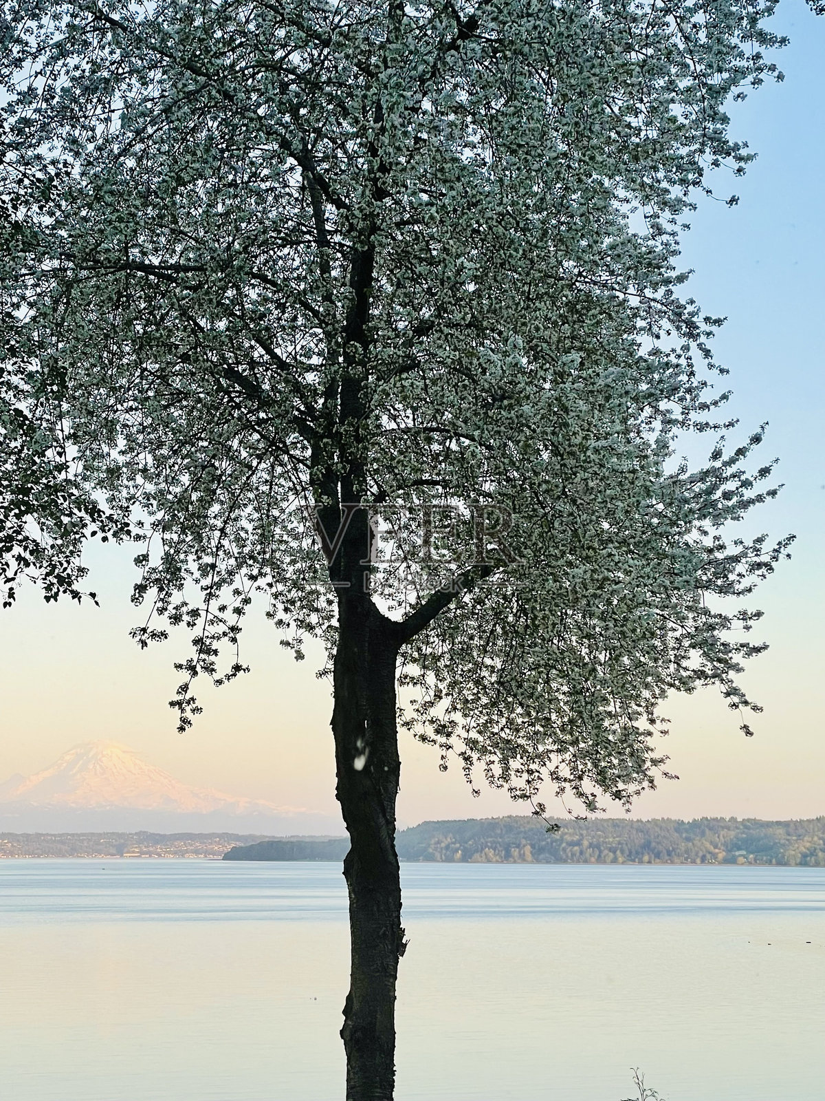 太平洋西北的日落照片摄影图片