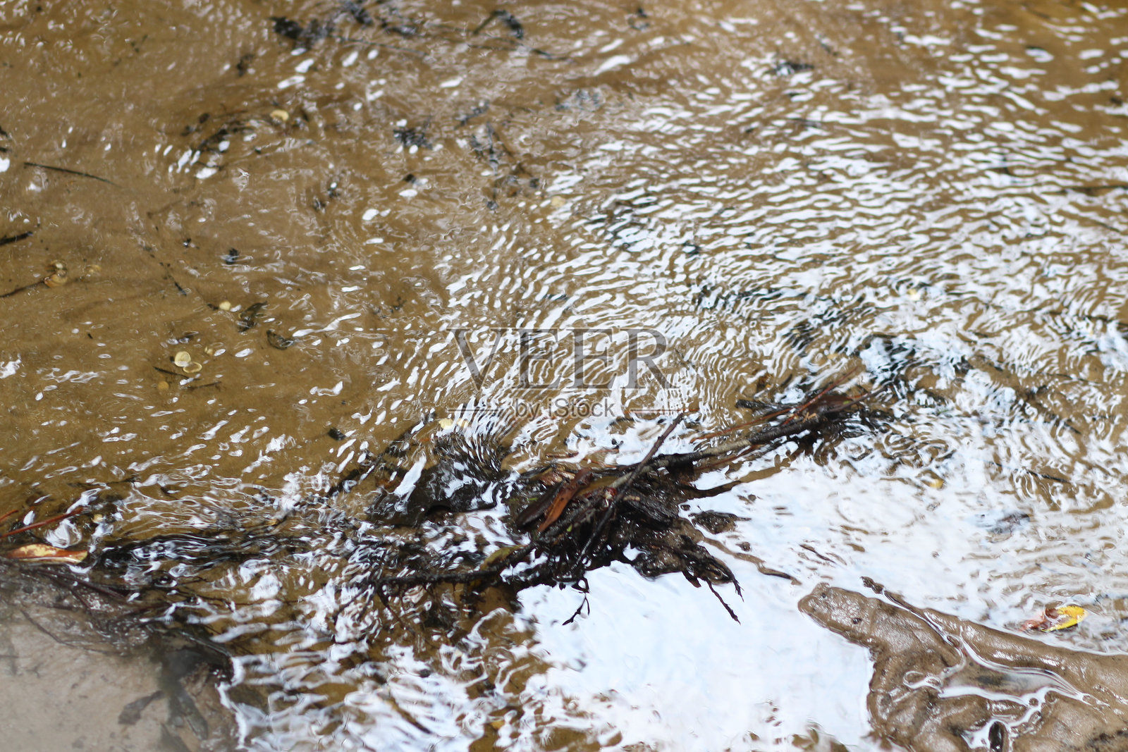 浅水面上的涟漪照片摄影图片