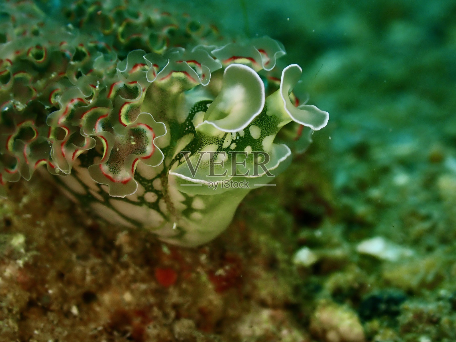 自然照片摄影图片