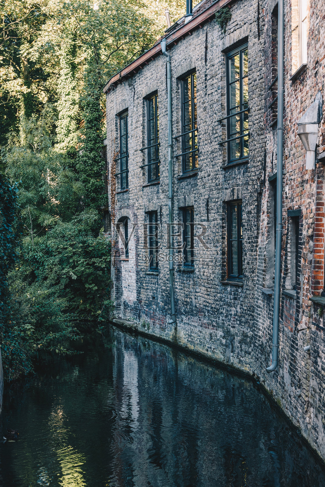 废弃的建筑，湖中有一面墙照片摄影图片