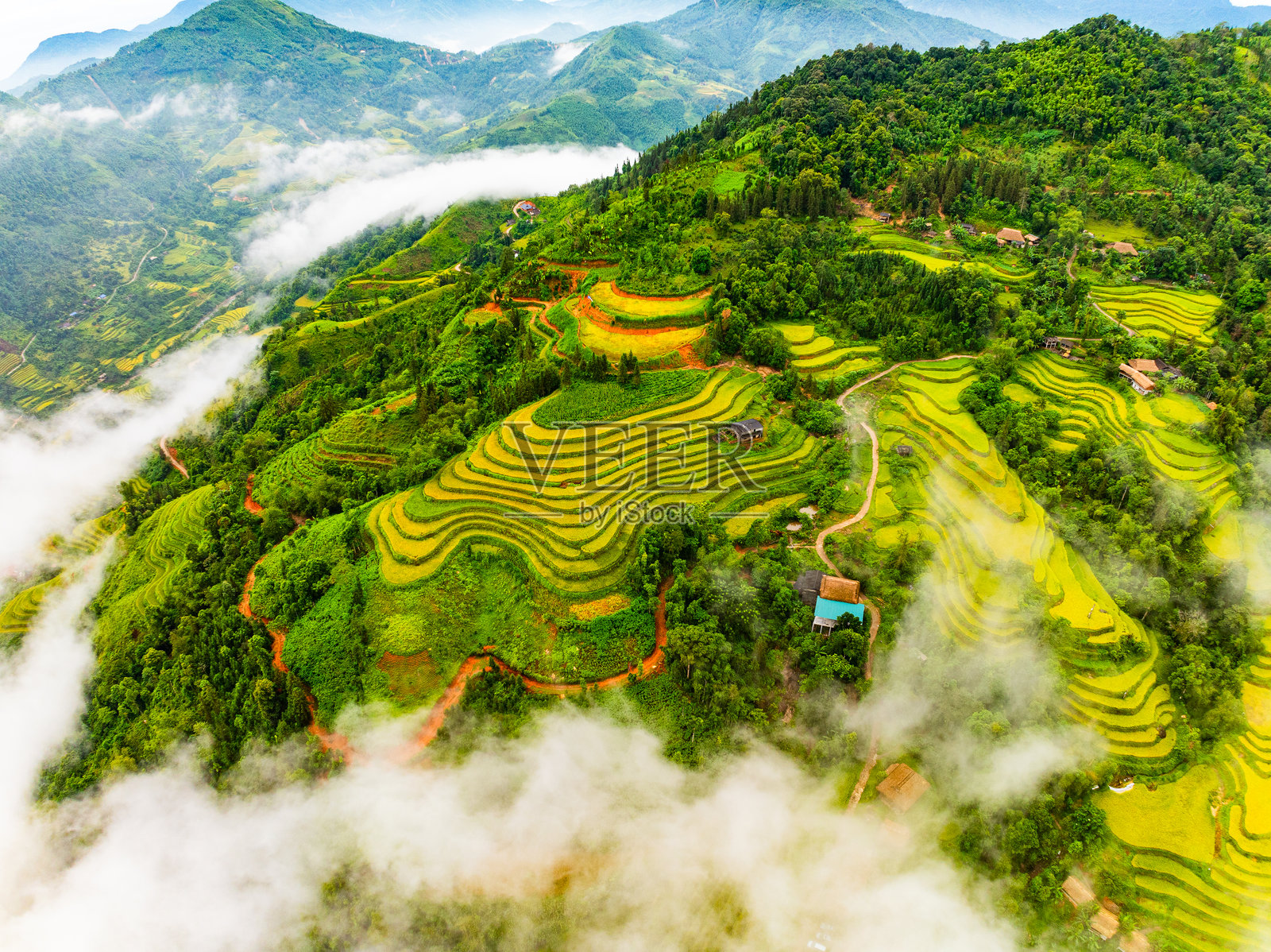 收割季节的稻田梯田航拍视角，越南北部乡村的绿色农业田野照片摄影图片