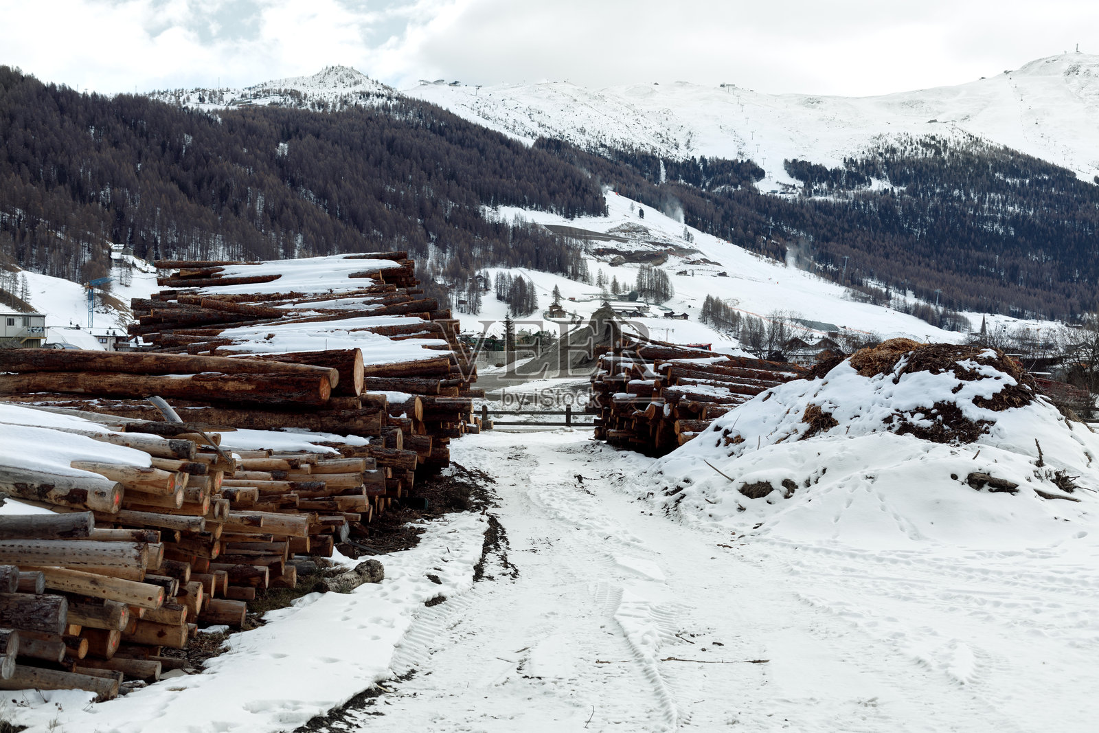 冬季山脉环境中的堆积木材原木照片摄影图片