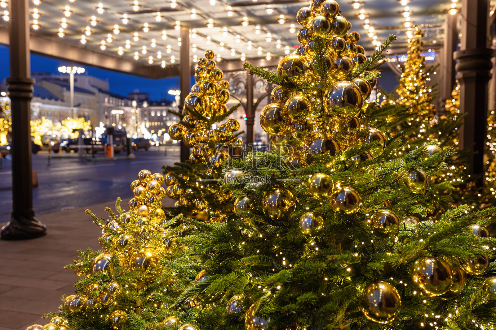城市中的圣诞树照片摄影图片