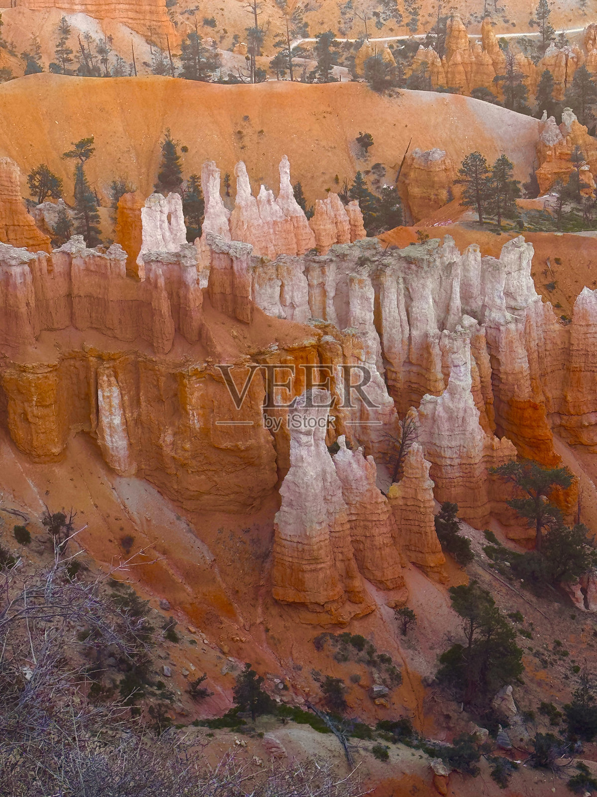 布莱斯峡谷国家公园照片摄影图片