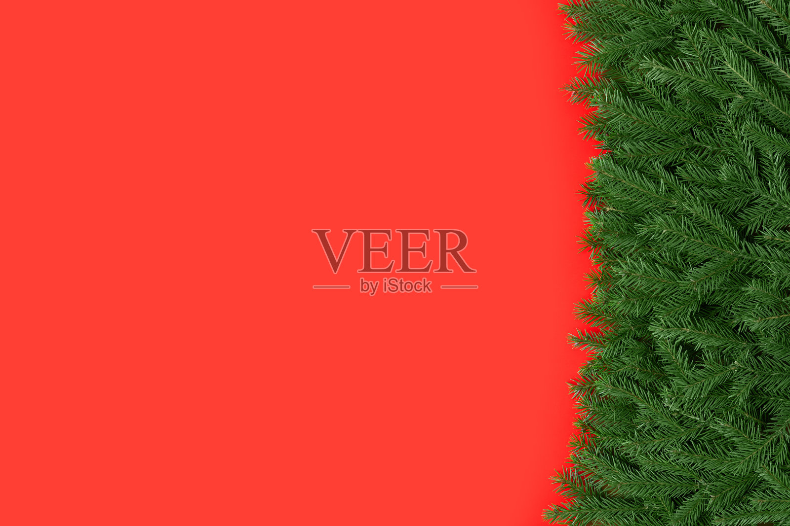 红色背景上的圣诞树枝。新年边框，红色背景，留白空间。俯视图。模板，样板。照片摄影图片