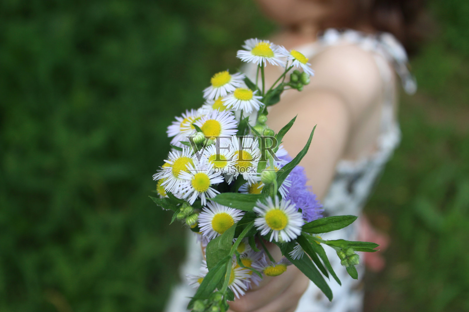孩子手中捧着一束雏菊照片摄影图片