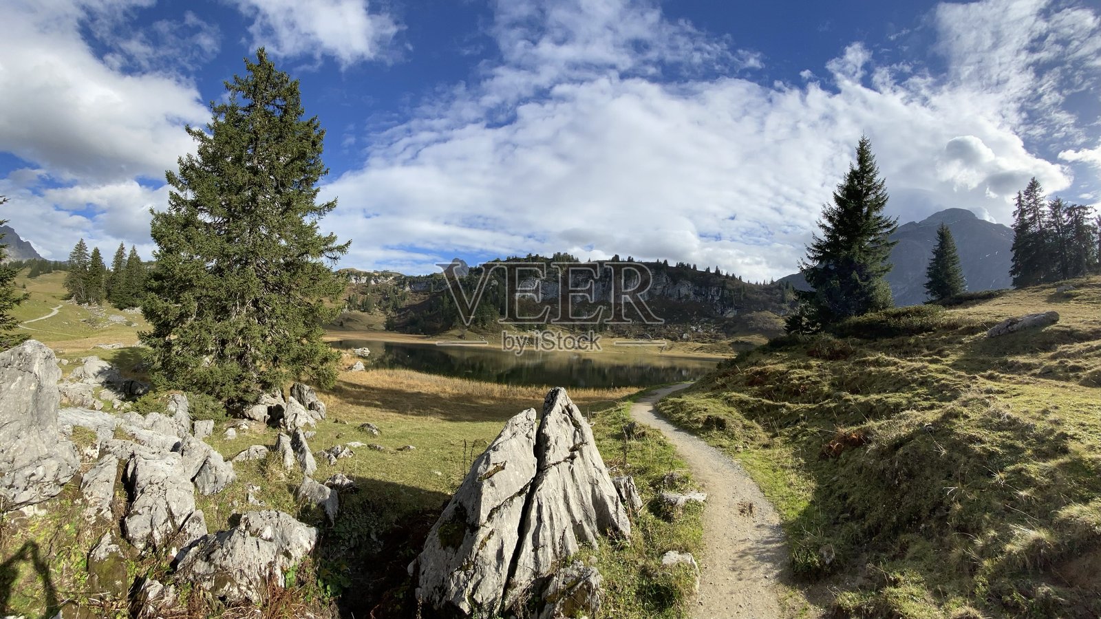 山中的夏天照片摄影图片