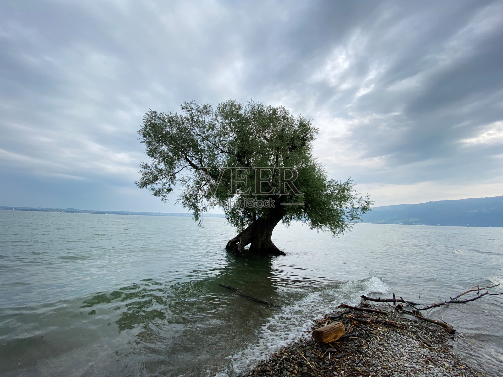博登湖的夏天照片摄影图片