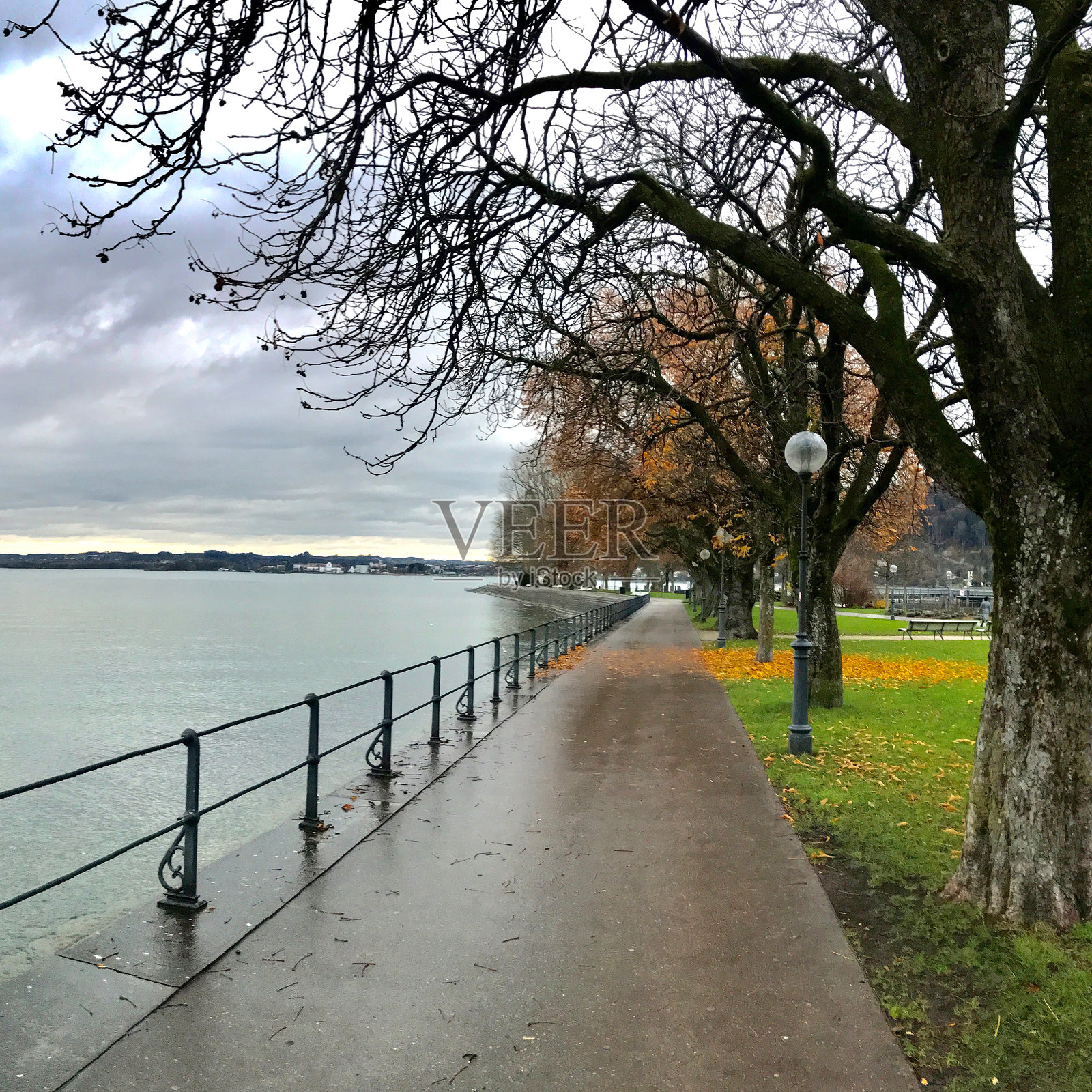 博登湖的夏天照片摄影图片