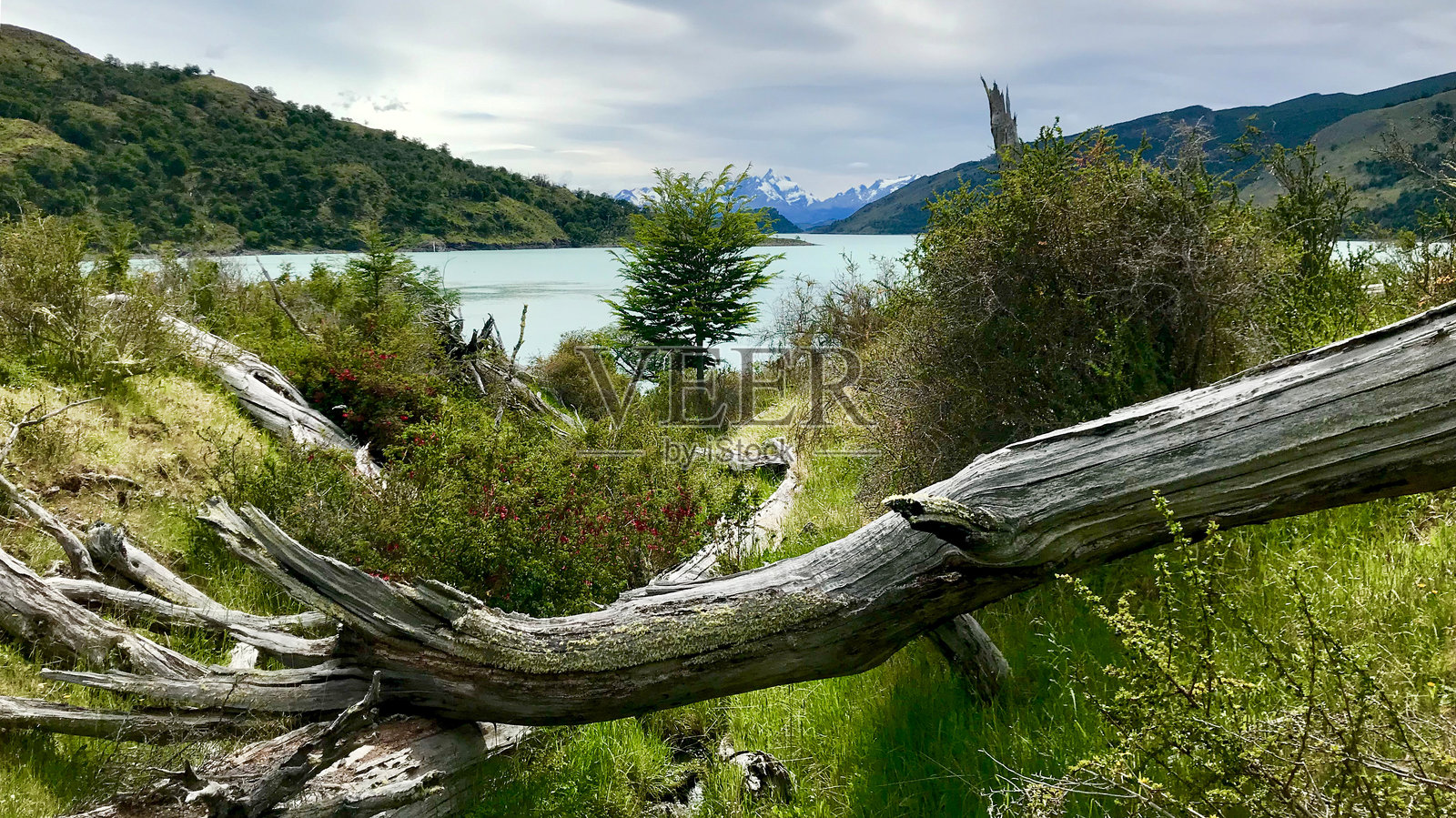 巴塔哥尼亚照片摄影图片