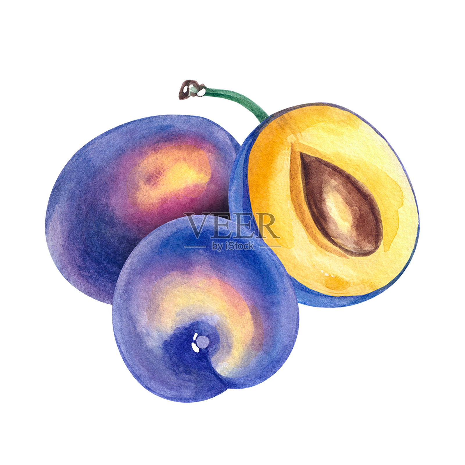 手绘水彩梅子水果插画图片素材