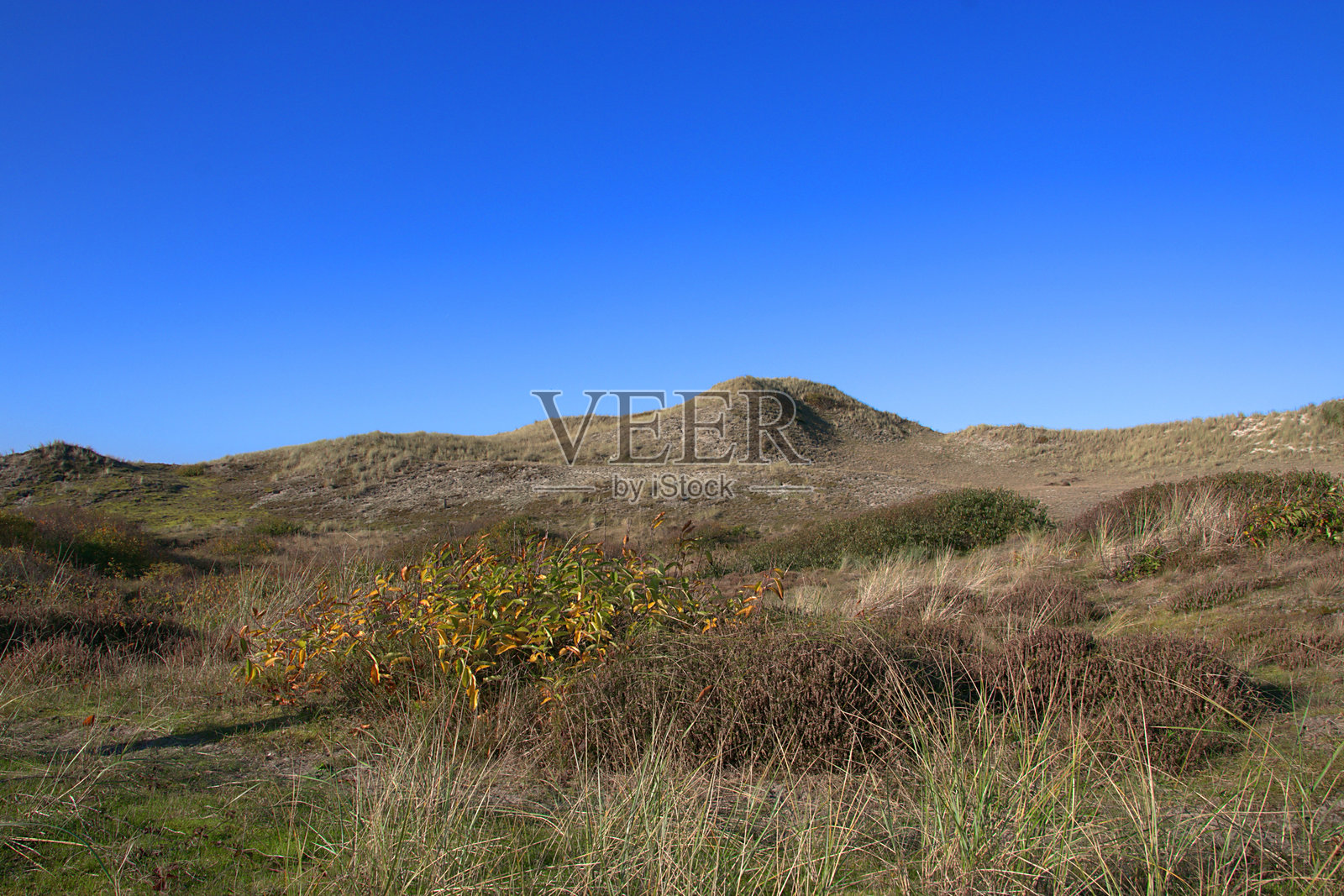 荷根海滩的沙丘景观（荷兰）位于北海旁照片摄影图片
