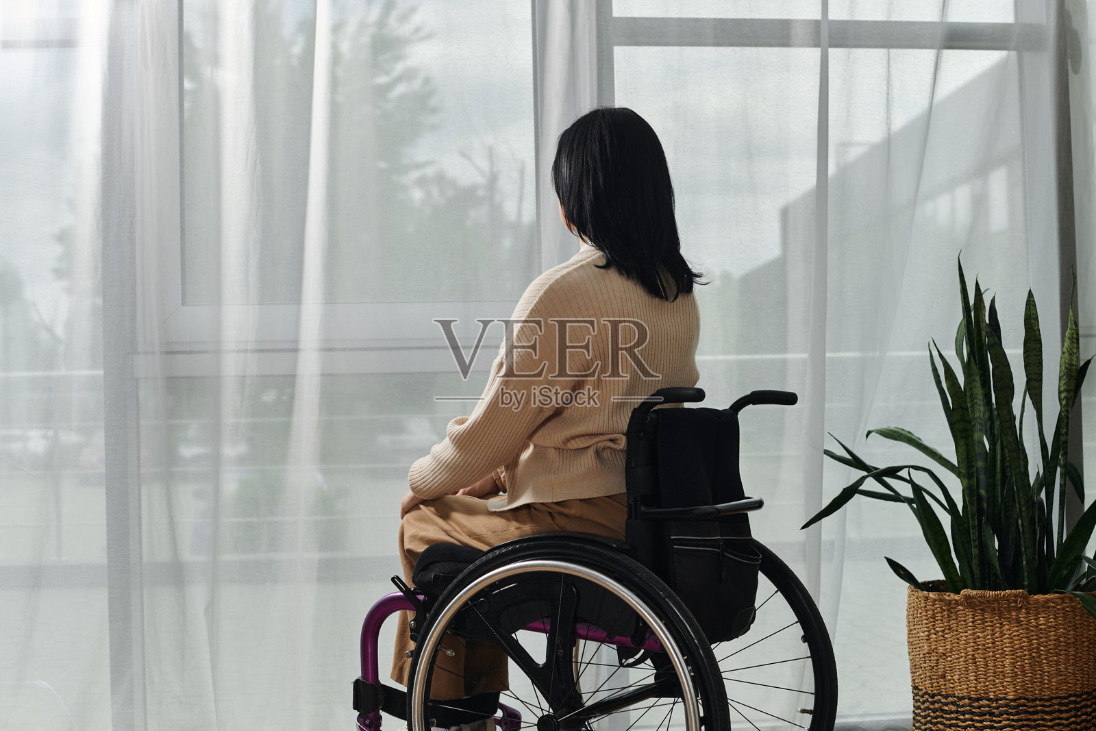 在家工作，一位美丽的轮椅女性舒适而专注地享受远程生活照片摄影图片