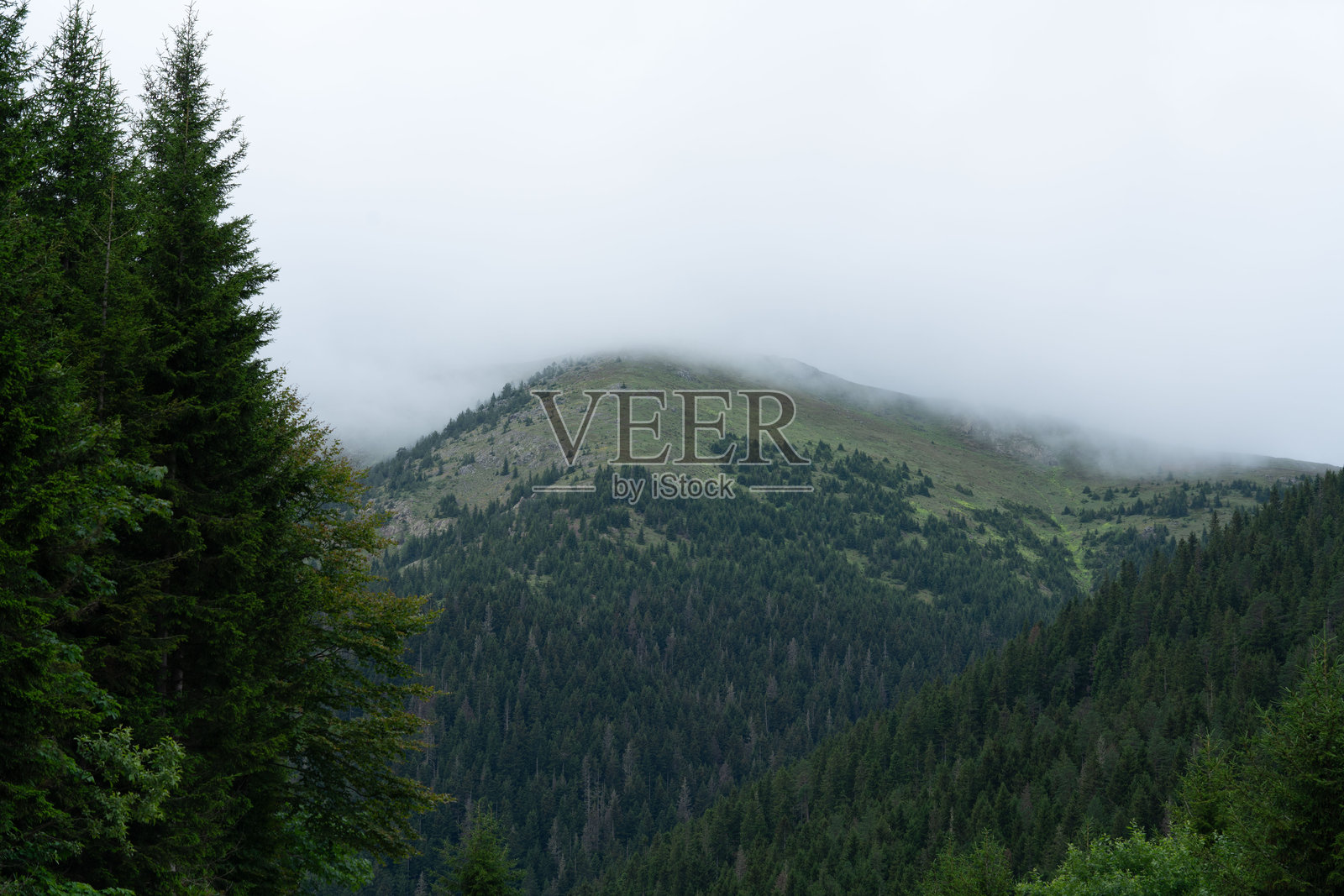 令人惊叹的风景、迷人的光线以及大自然所提供的最美丽的色彩在每一帧中交汇。照片摄影图片