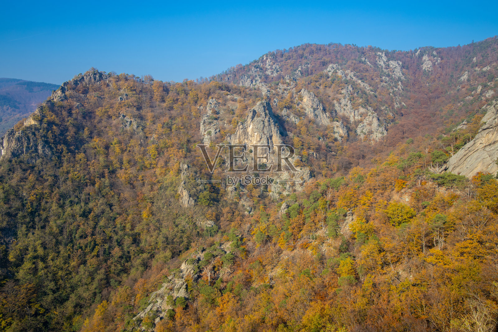 悬崖旁的森林秋色照片摄影图片
