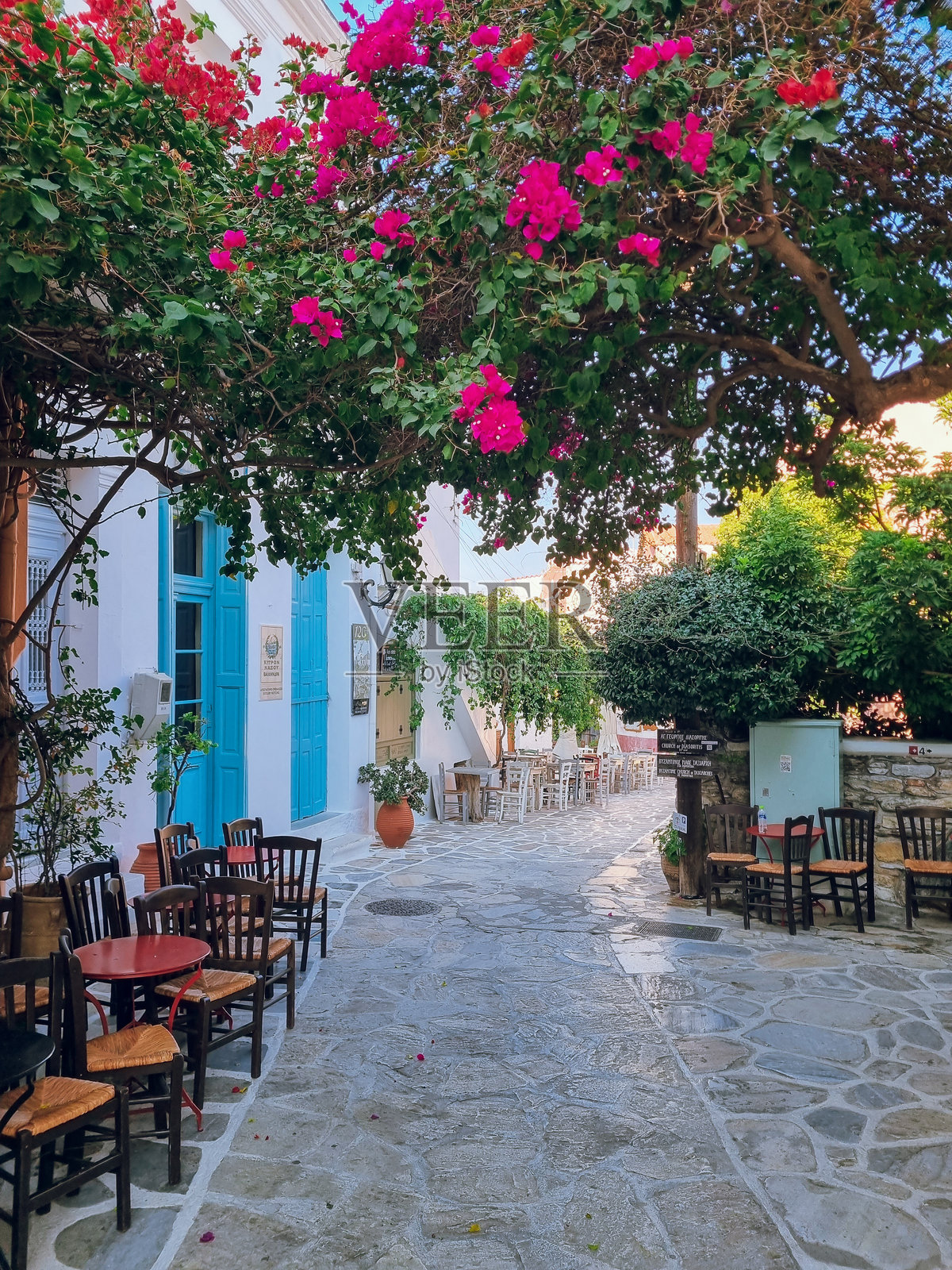 希腊纳克索斯岛查尔基村的传统迷人街道，盛开着粉色的花朵（九重葛）和白色房屋。照片摄影图片