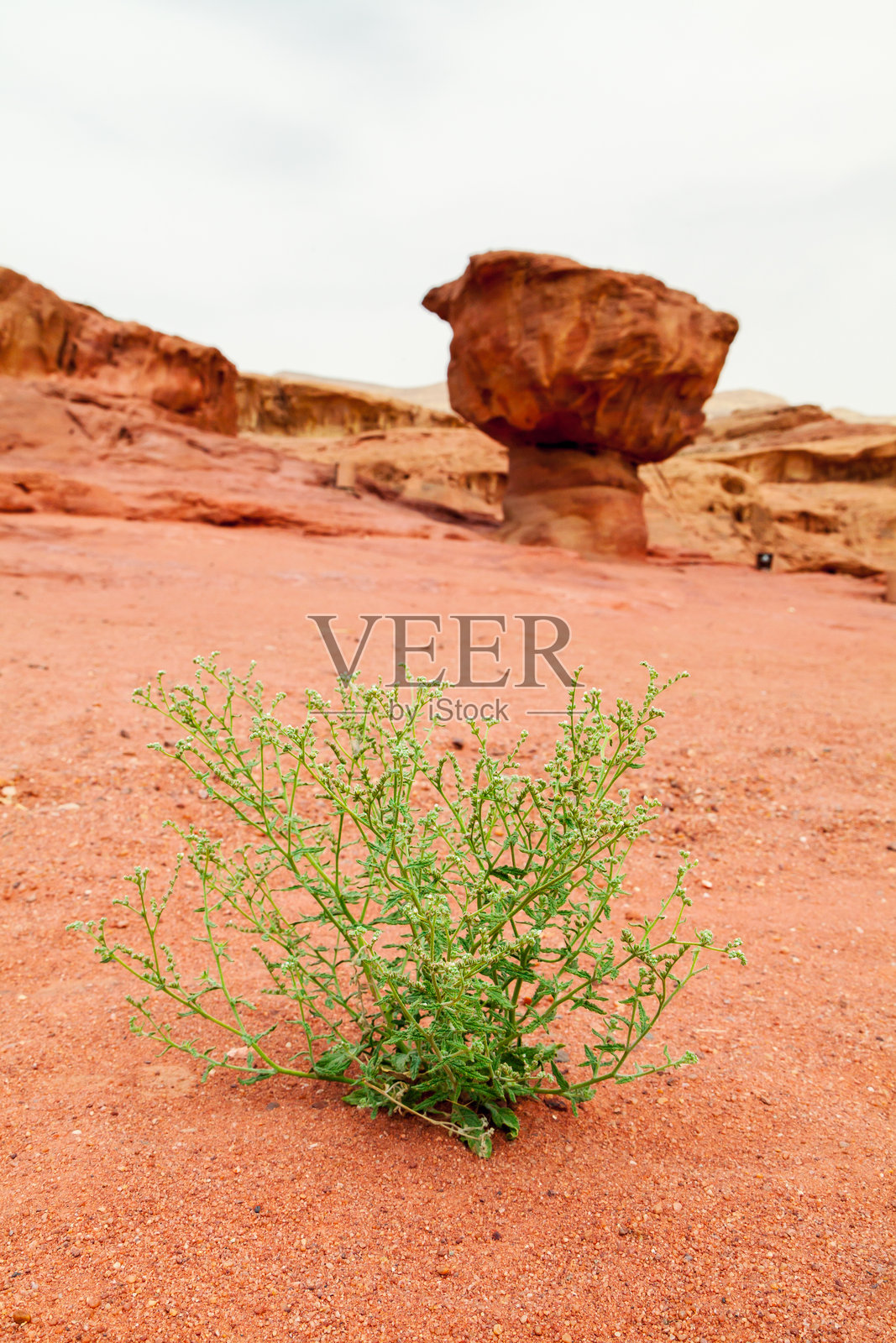 以色列提姆纳谷的沙漠景观照片摄影图片