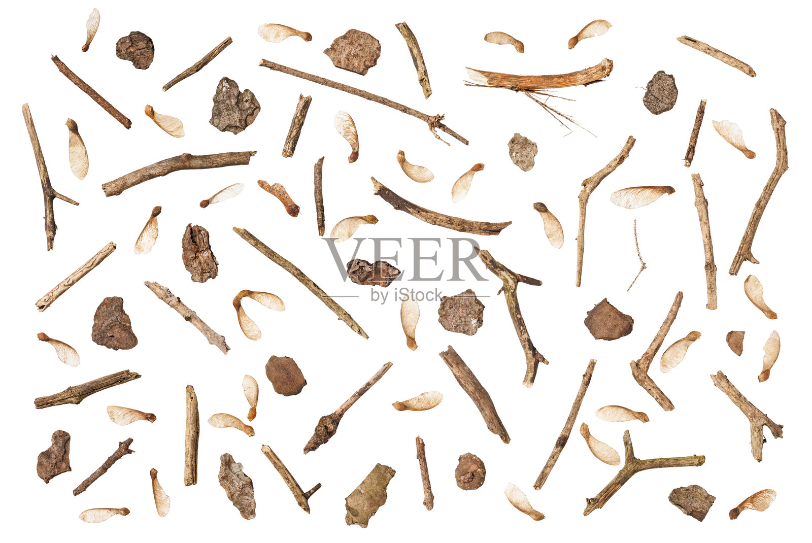 一组树枝、树皮片和种子翅膀的排列，极简地展现了木材和植物碎片在白色基底上的自然多样性与美感。照片摄影图片