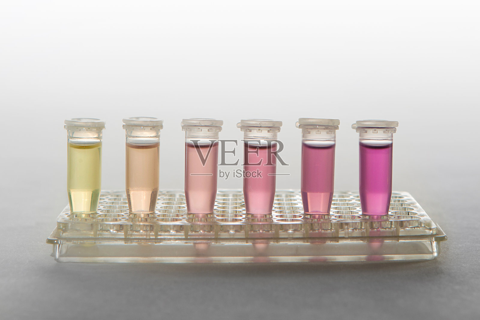 实验室的Eppendorf管展示了用于实验的多彩化学液体样本照片摄影图片