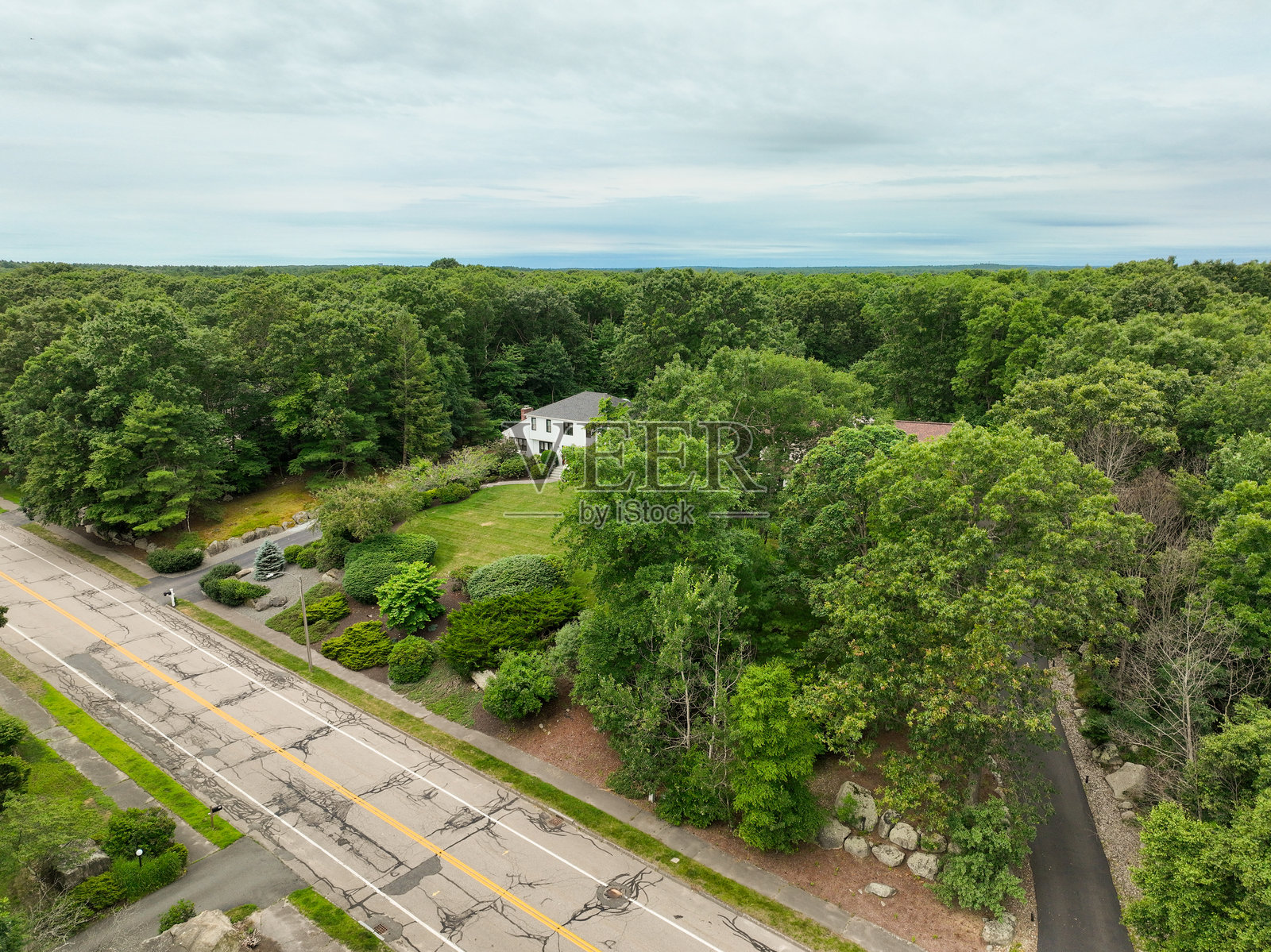 马萨诸塞州诺福克县郊区社区的鸟瞰图，绿树成荫，豪华别墅矗立其中。照片摄影图片