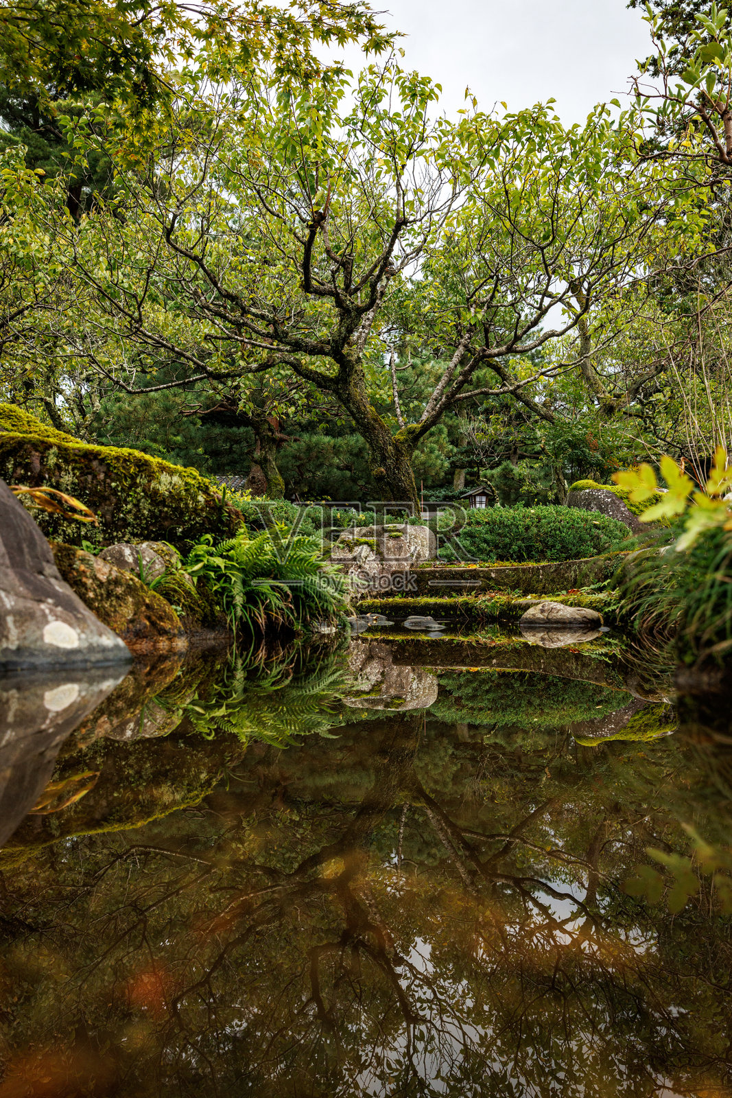 传统日本公园的景观设计照片摄影图片