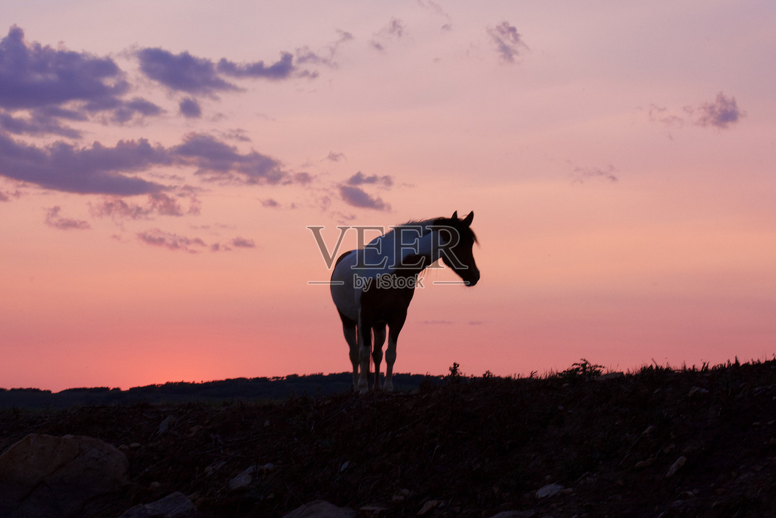 日落时的自由照片摄影图片