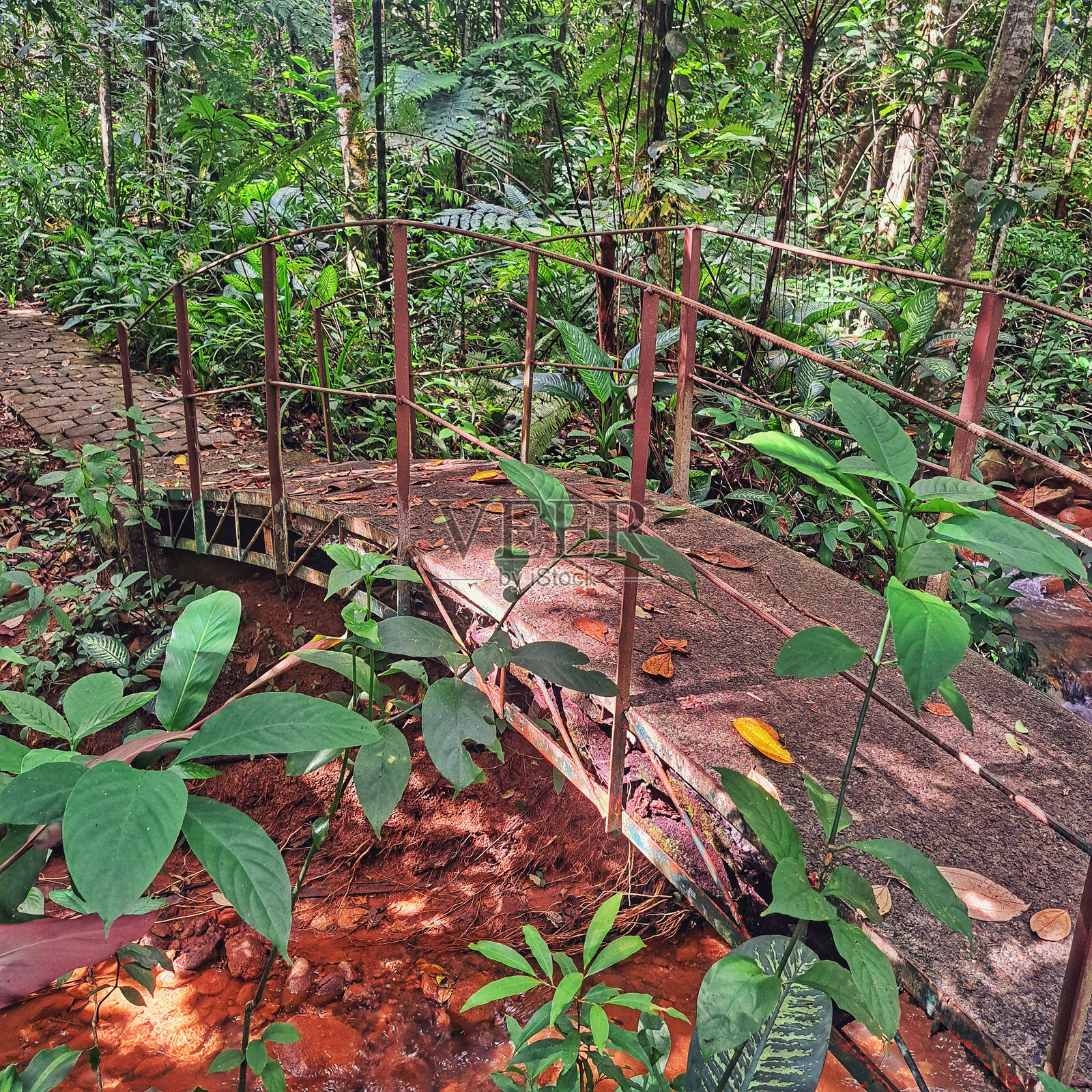 混凝土和金属桥横跨森林小溪照片摄影图片