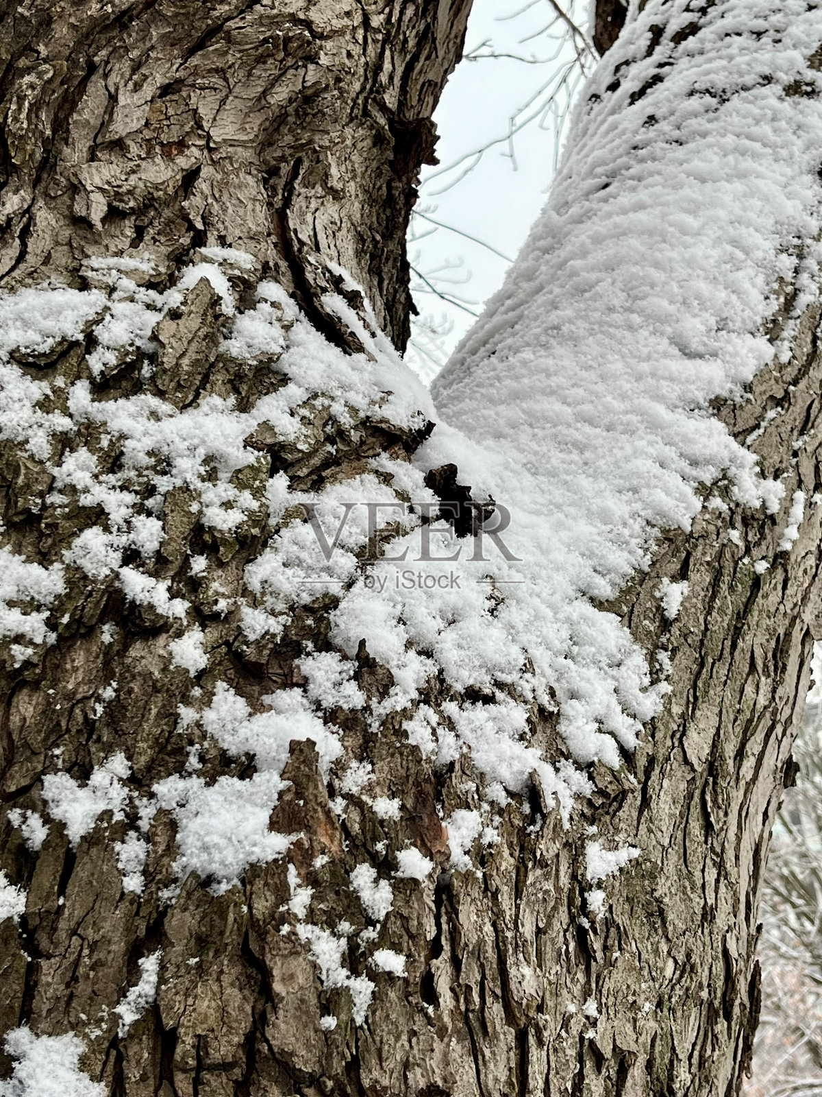 本季的第一次降雪照片摄影图片