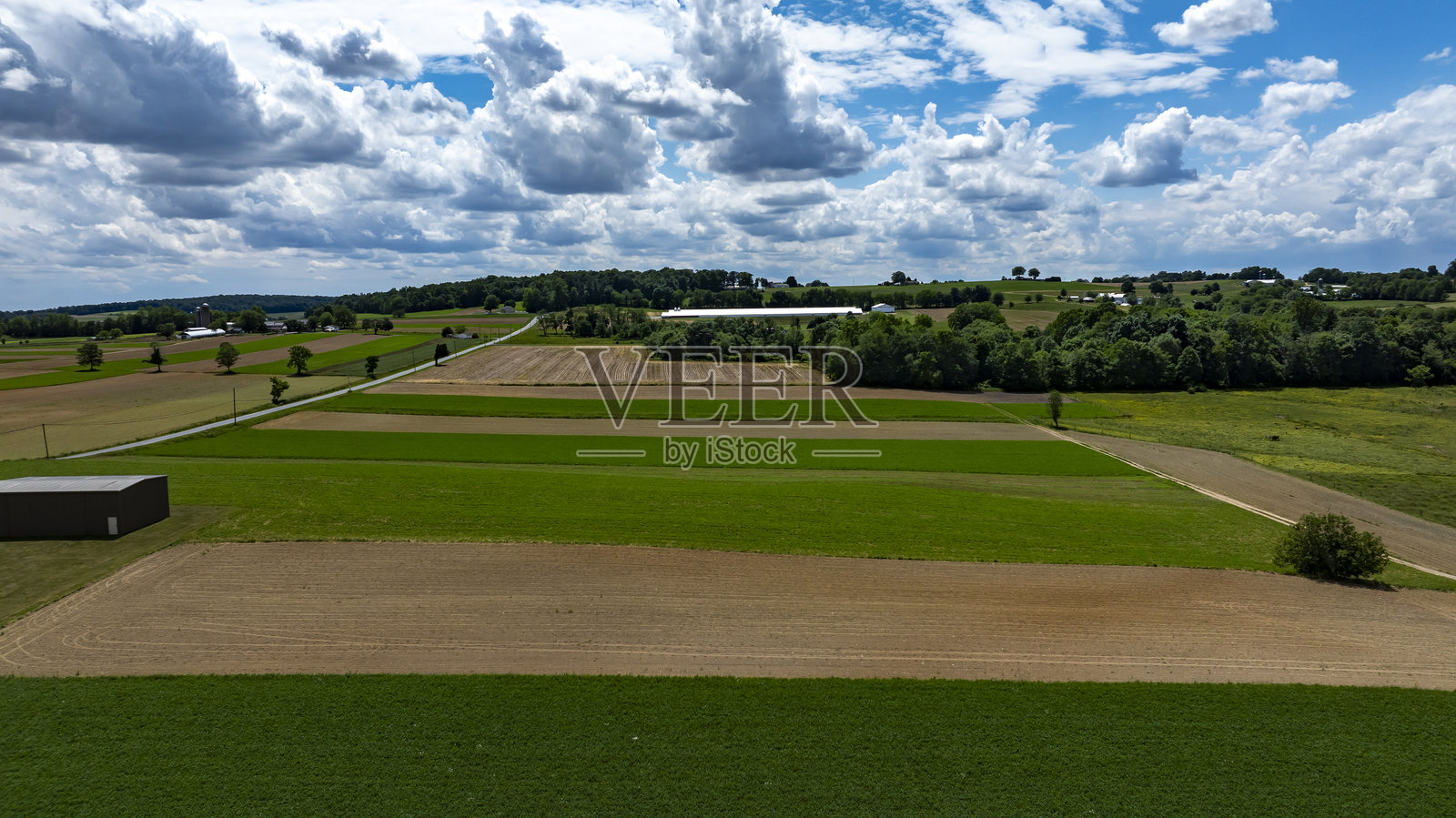 广阔的农田在明亮的蓝天和云朵下，展现乡村风光照片摄影图片