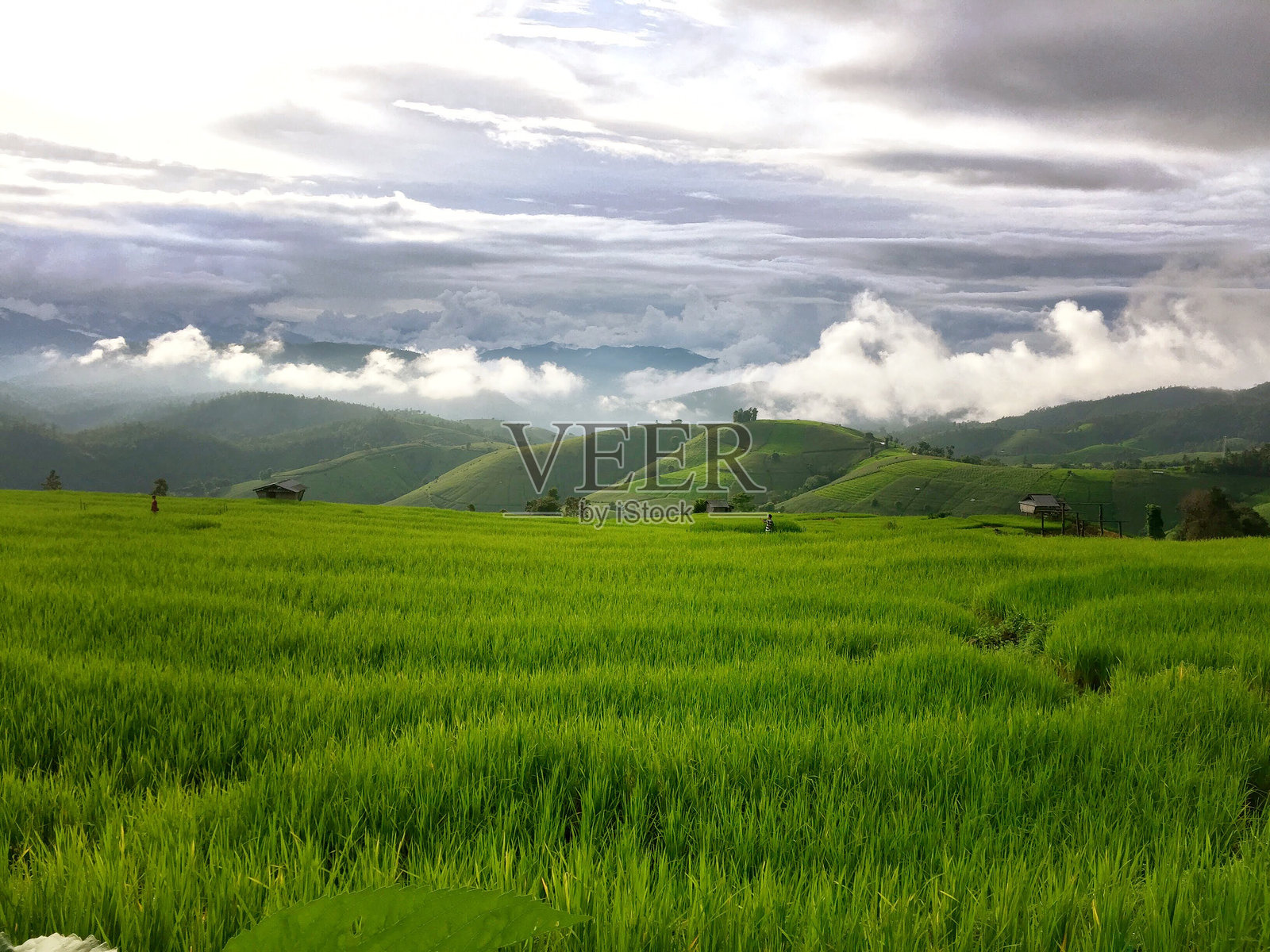农业田野与天空的美丽景观照片摄影图片