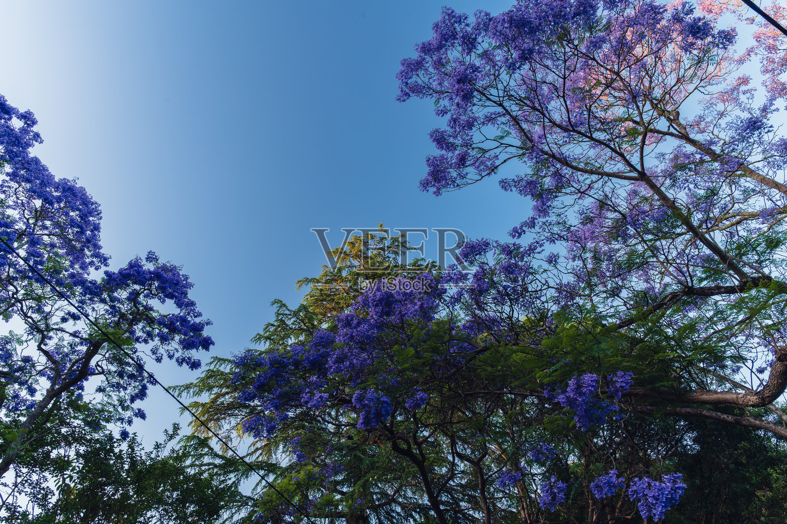 卡姆登是新南威尔士州悉尼的一个历史悠久的城镇和郊区，位于悉尼中央商务区以西南65公里处。照片摄影图片