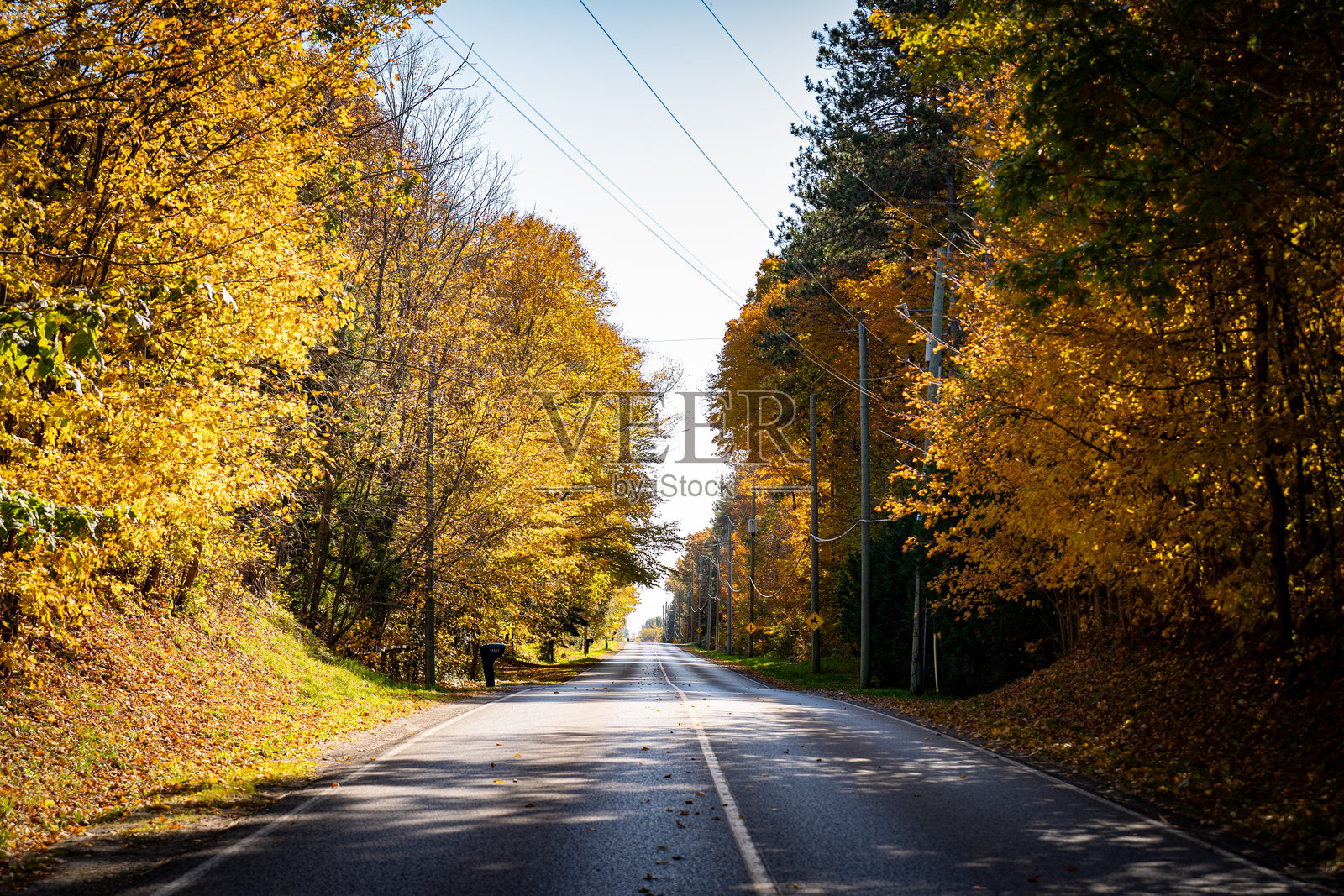 秋季的道路风景。照片摄影图片