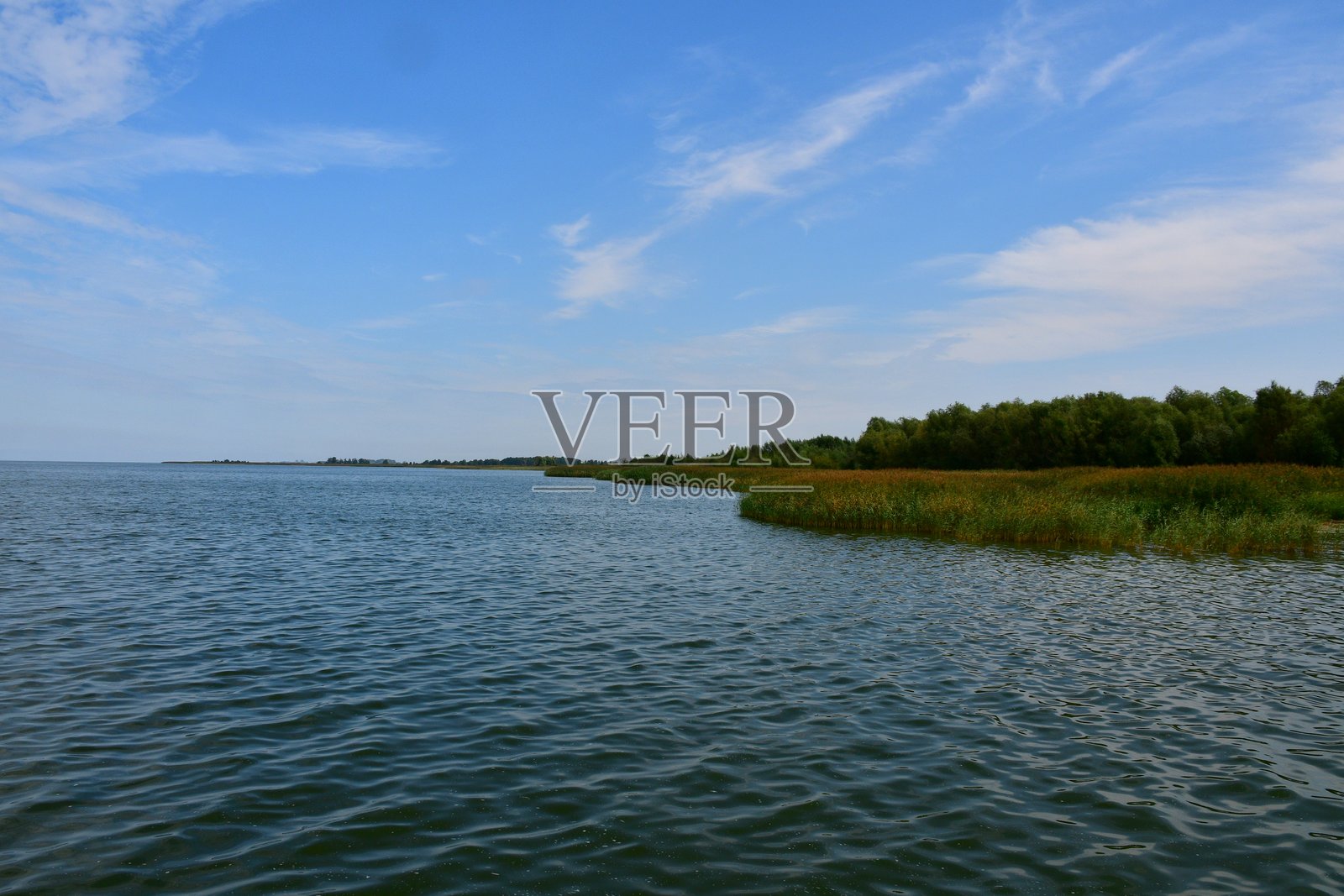 一个位于岩石海岸旁的海滨小镇的景观，沙滩上覆盖着芦苇和灌木，附近是一片郁郁葱葱的森林，许多船只停靠在码头附近，鸭子或海鸥在水中游泳和觅食。照片摄影图片