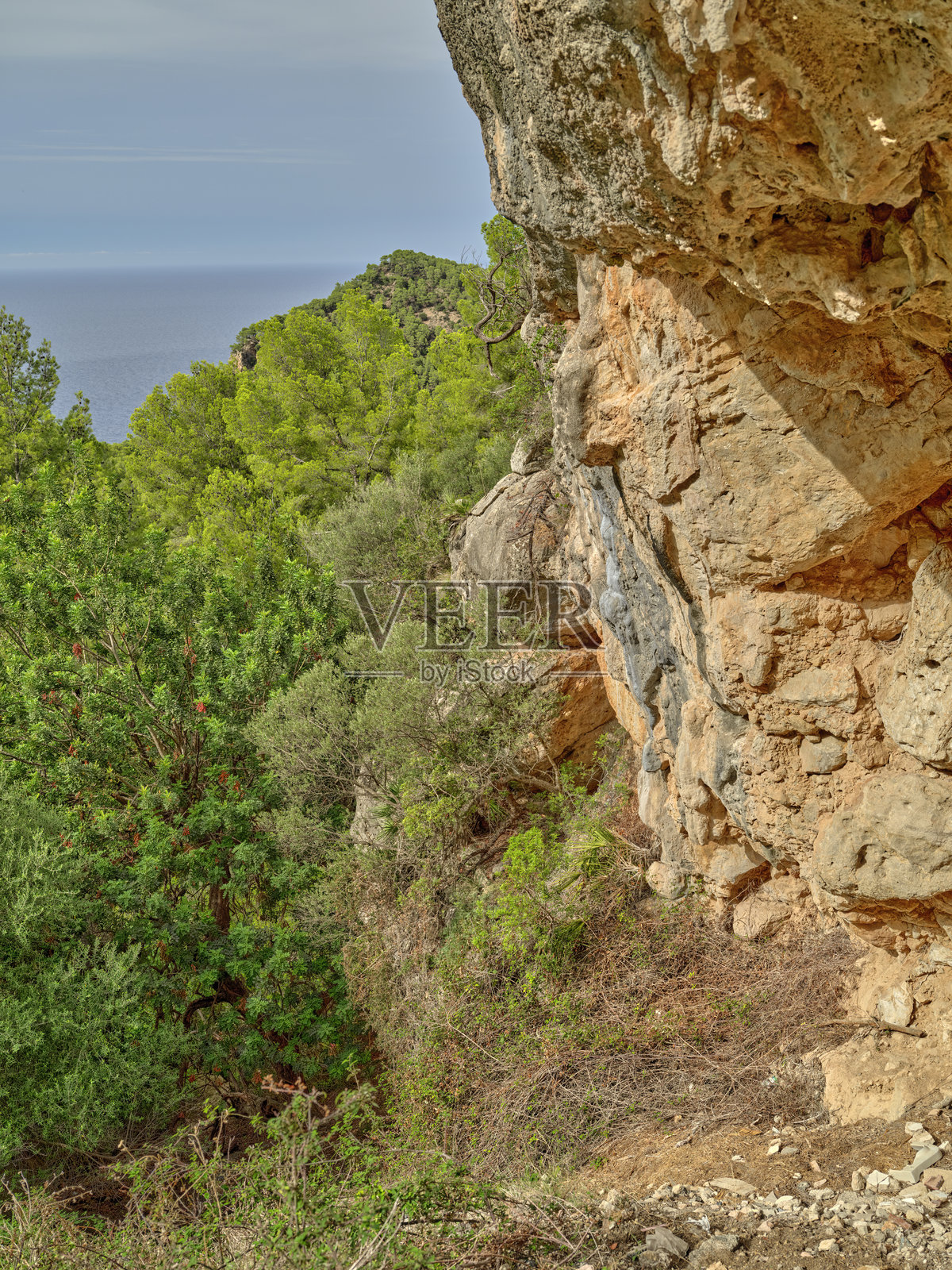 马略卡海岸的岩石悬崖与郁郁葱葱的森林照片摄影图片