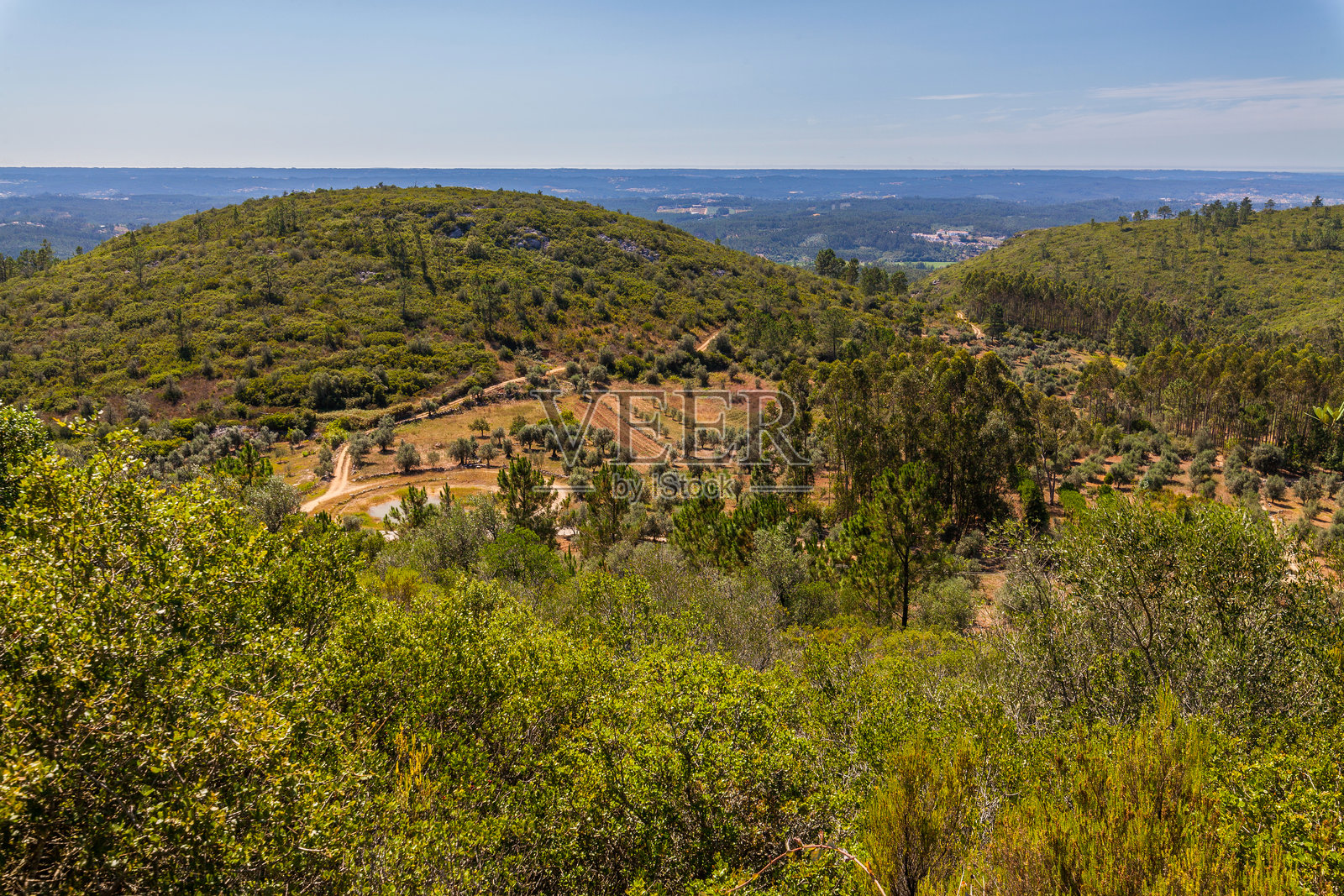 一幅广阔的乡村风景全景，展现起伏的山丘、郁郁葱葱的森林和湛蓝的天空。照片摄影图片