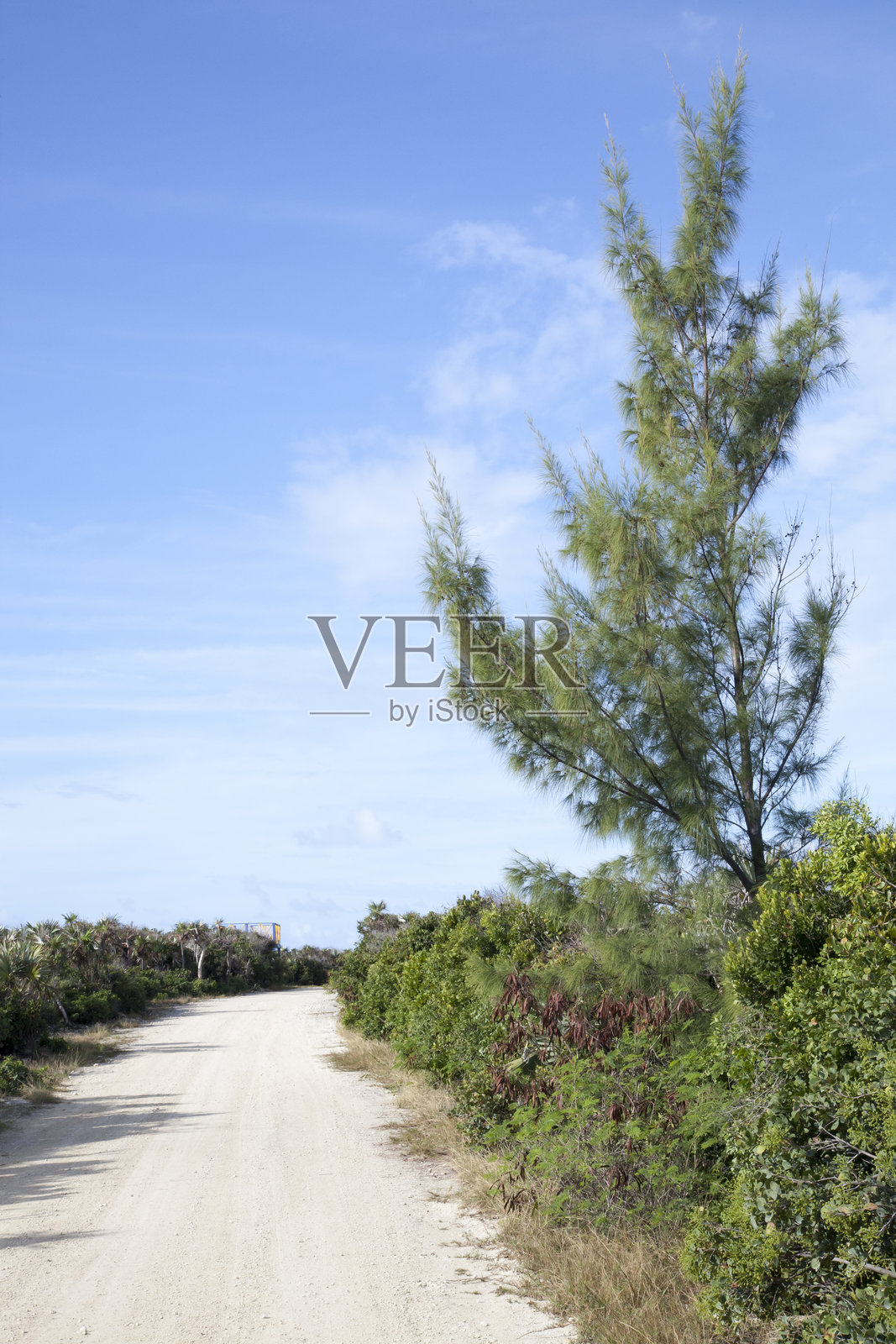 小马鞍岛唯一的道路照片摄影图片