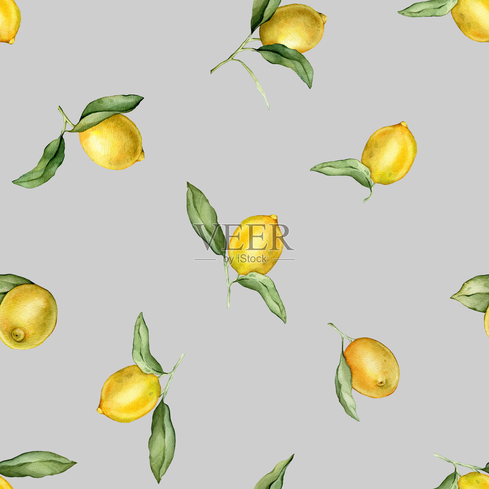 无缝图案，水彩插图的柠檬或青柠。手绘的柠檬枝和绿色叶子，背景为白色，适用于果汁标签或图标。插画图片素材