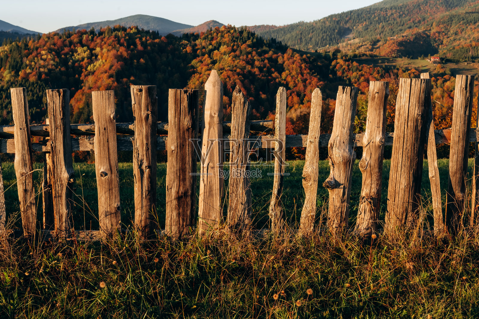 喀尔巴阡山脉中的木栅栏，秋季景色照片摄影图片