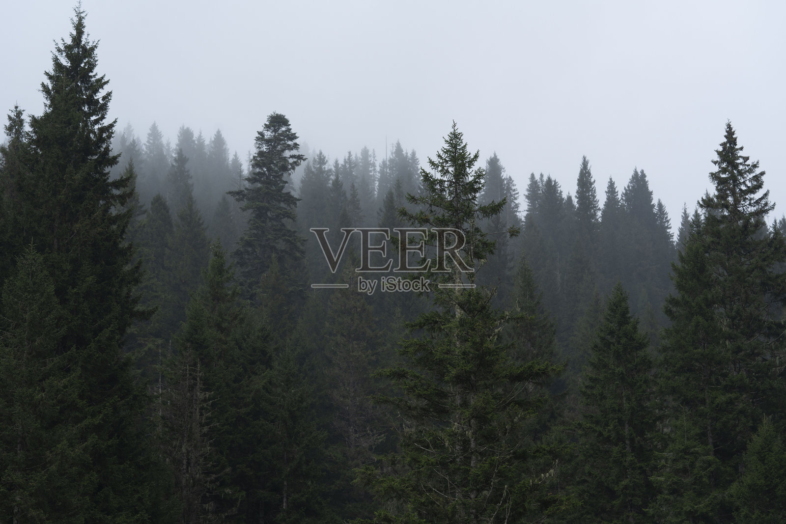 令人惊叹的风景、迷人的光线以及大自然所提供的最美丽的色彩在每一帧中交汇。照片摄影图片