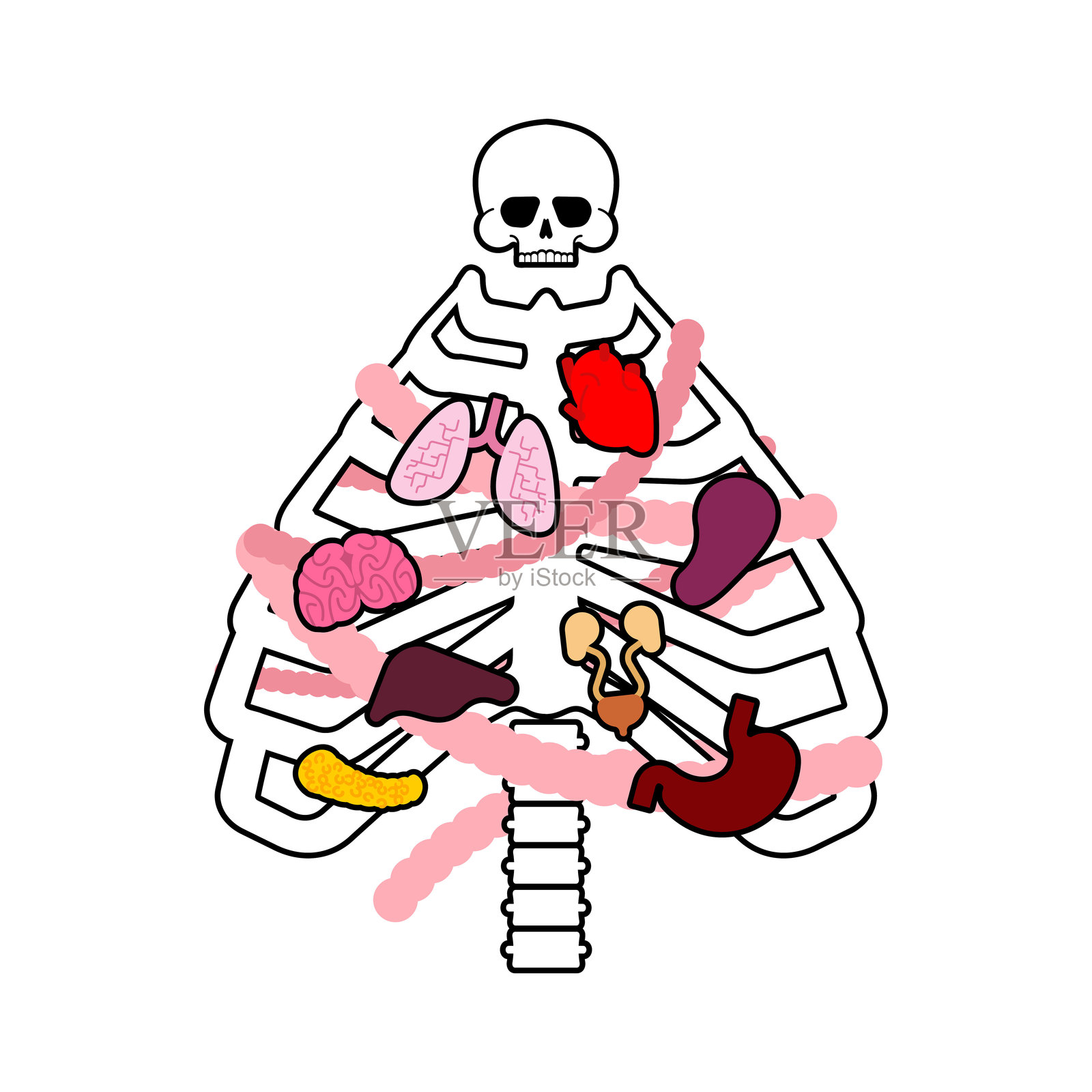 圣诞树骨架。肋骨圣诞树。解剖学新年：骨骼和头骨。肋骨和脊柱。医生和放射科医生的概念节日海报。云杉的X光片。插画图片素材