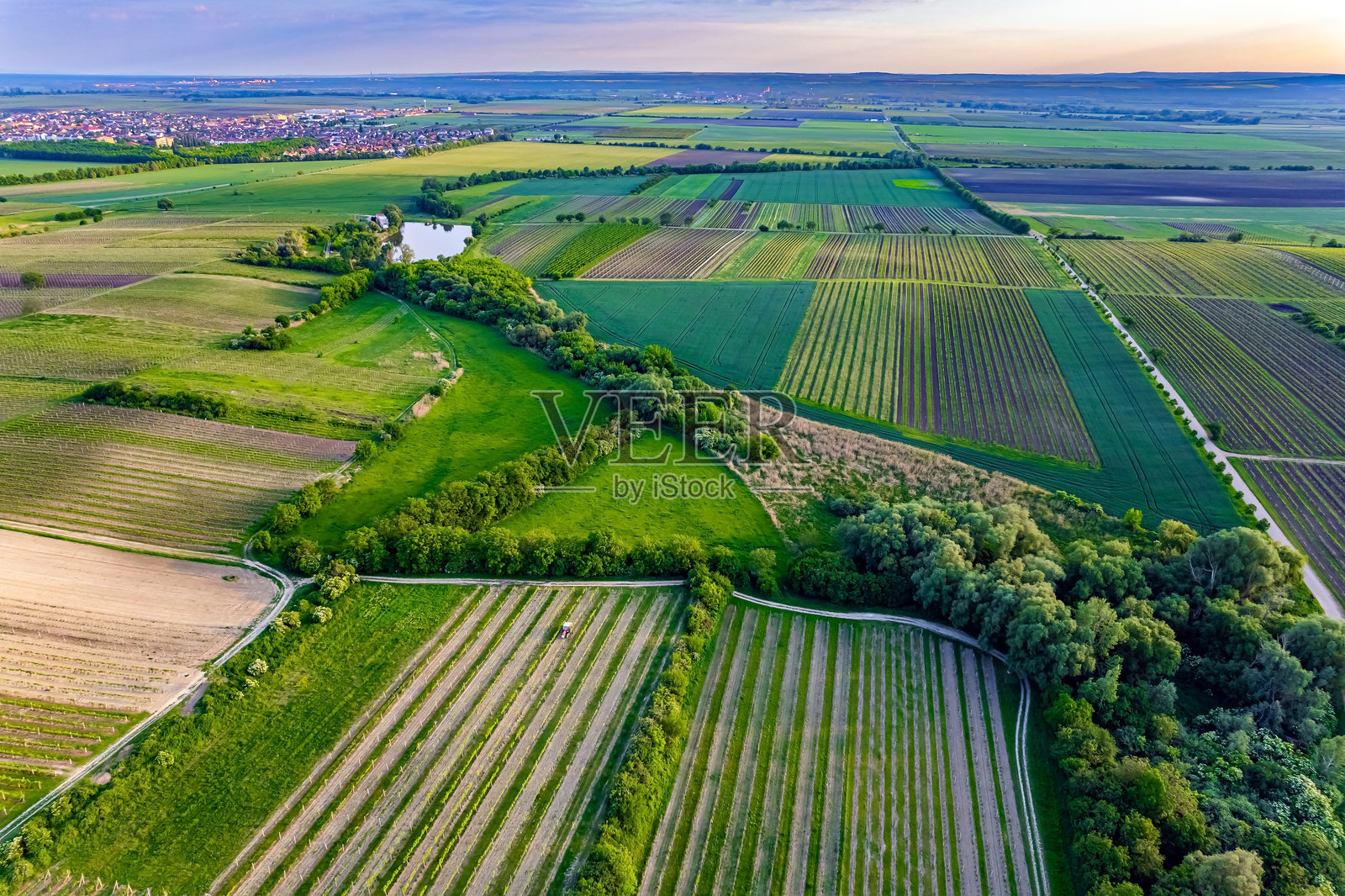 如画的播种田野照片摄影图片