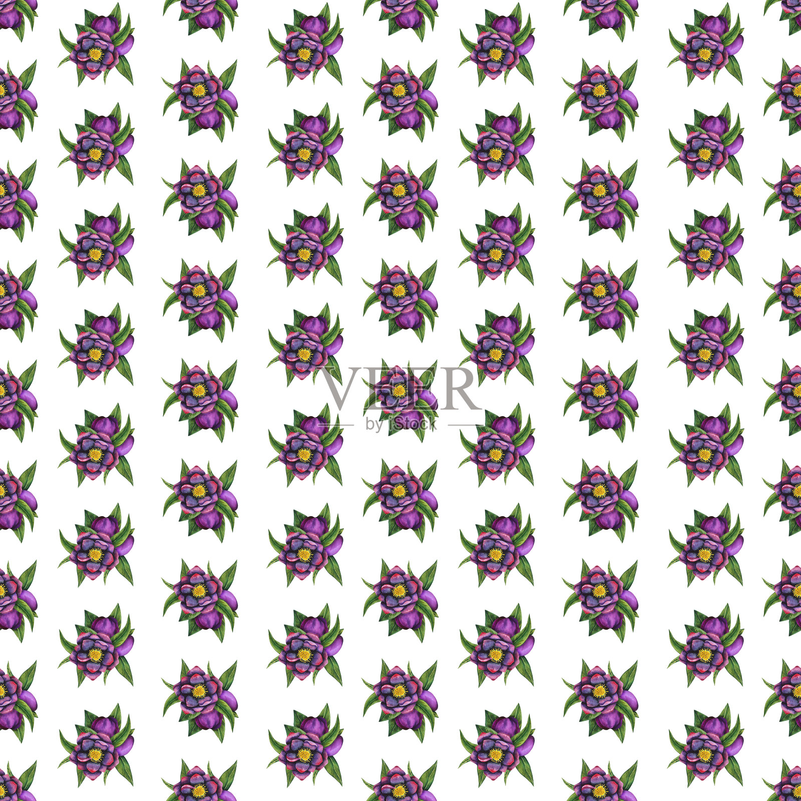 黑色冬青。无缝水彩元素图案。手绘花朵、花蕾和叶子。水彩植物作品适用于卡片、邀请函、纺织品和纸制品。插画图片素材