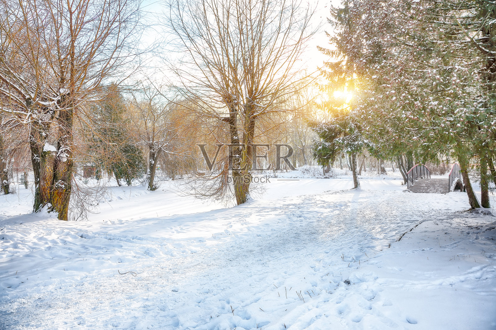 城市公园中雪地里的树木映衬下的壮丽冬季日落。照片摄影图片