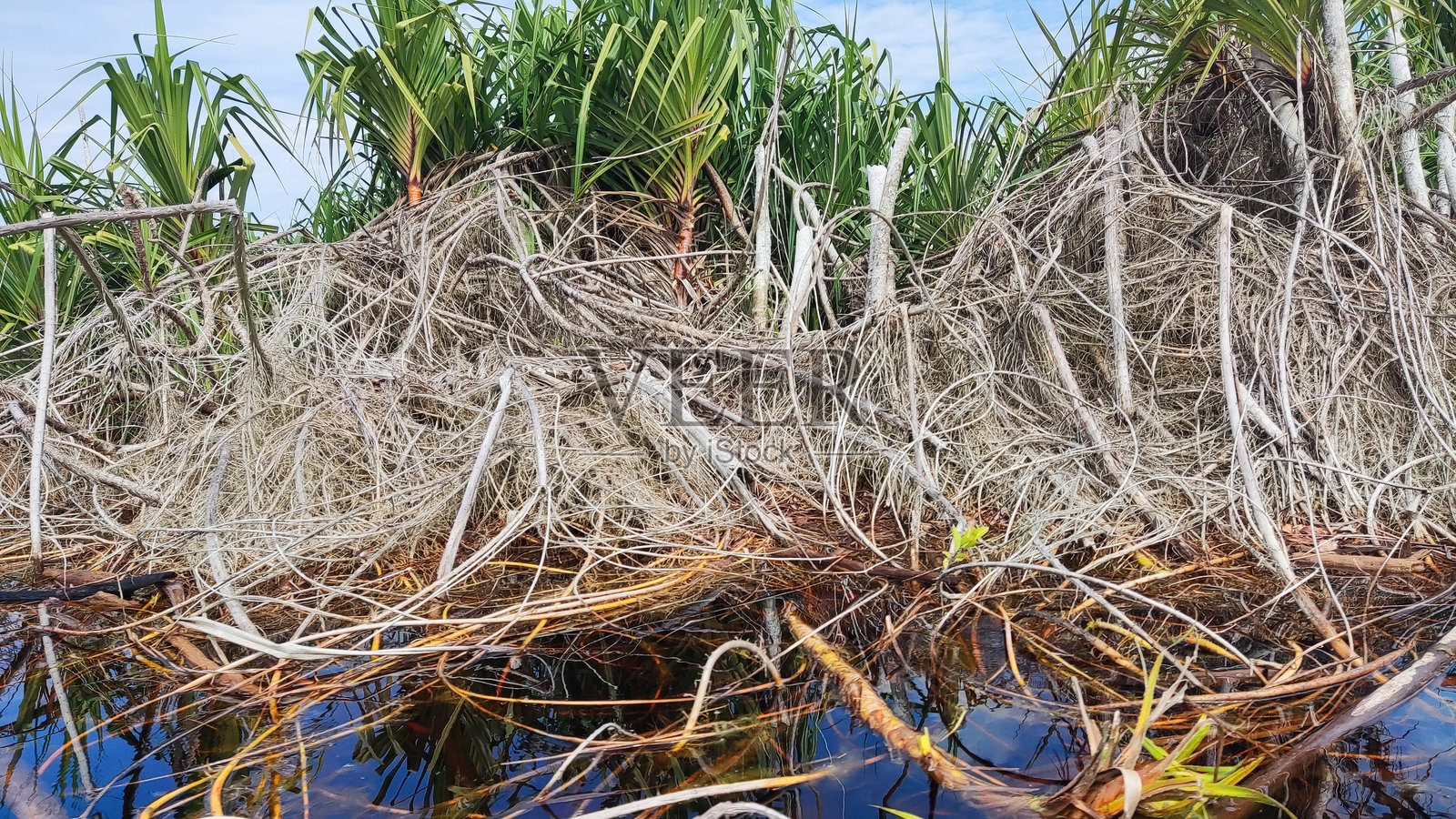塞邦瑙国家公园照片摄影图片