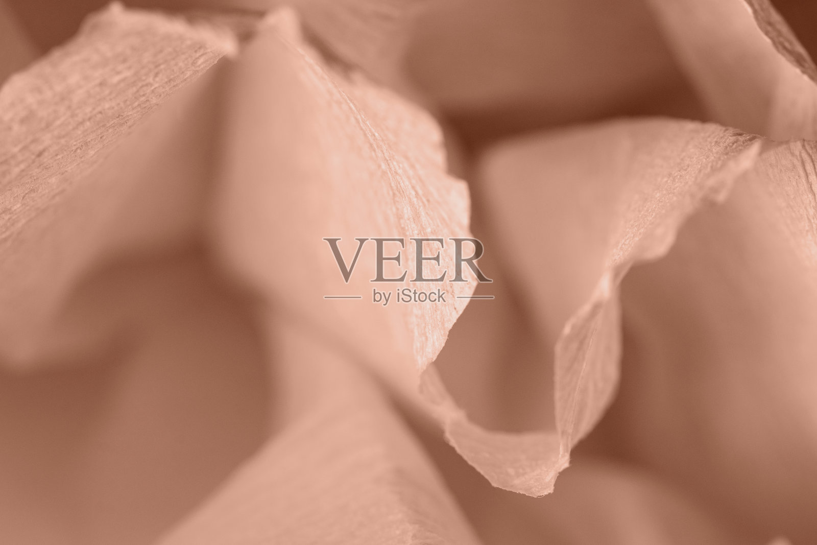 2025年年度色：摩卡慕斯。用绉纸制作的花朵碎片。照片摄影图片