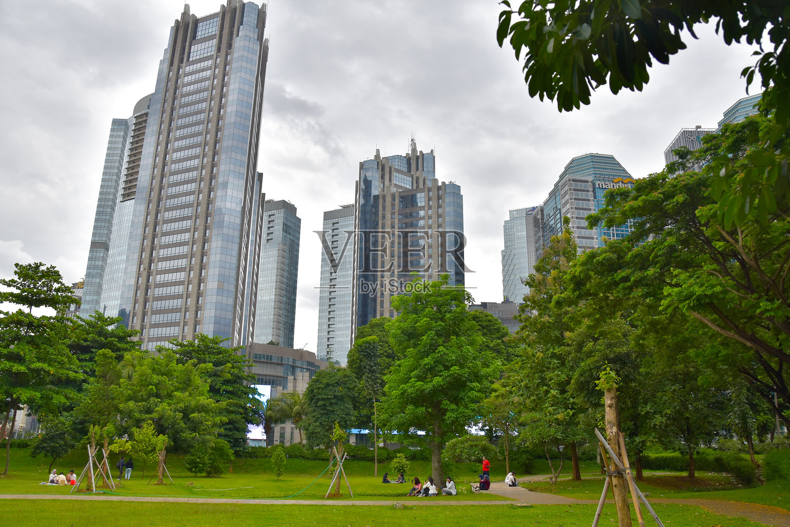 雅加达格洛拉·邦卡诺的绿色城市森林，背景是办公大楼照片摄影图片