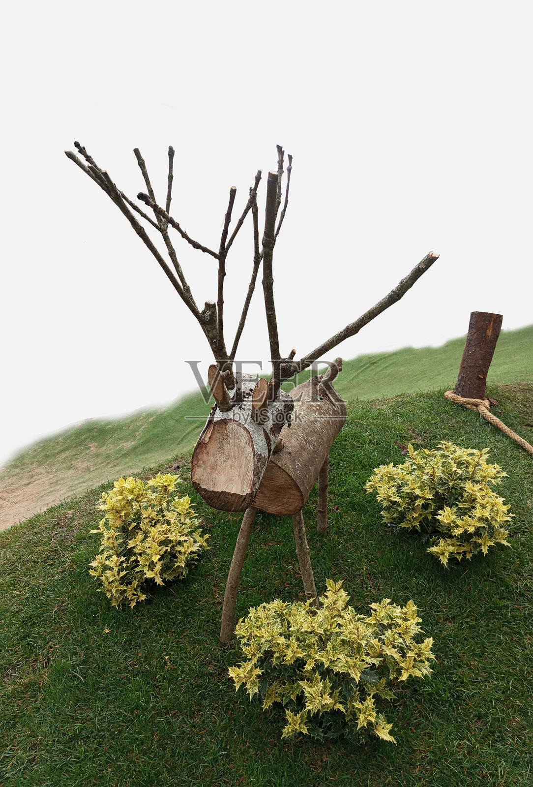 用白桦树枝制作的装饰性树木，放置在花园的草地上。圣地亚哥-德孔波斯特拉的圣诞驯鹿手工艺品。照片摄影图片