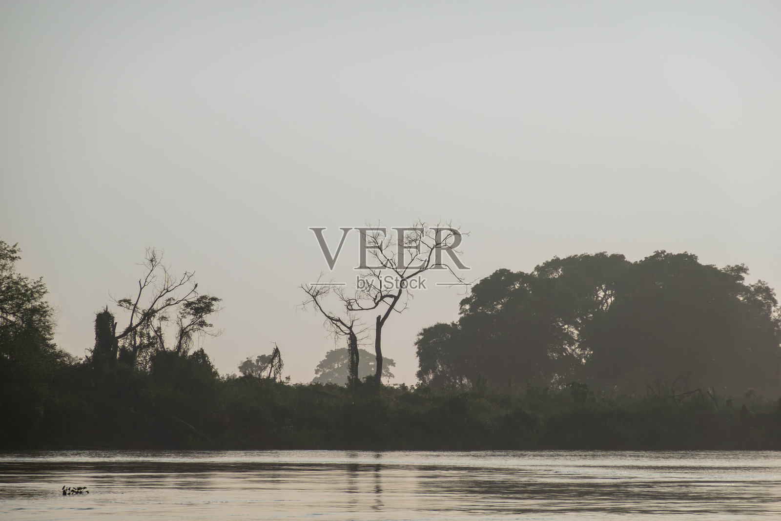 晨光中的河流风景透过雾霭照片摄影图片