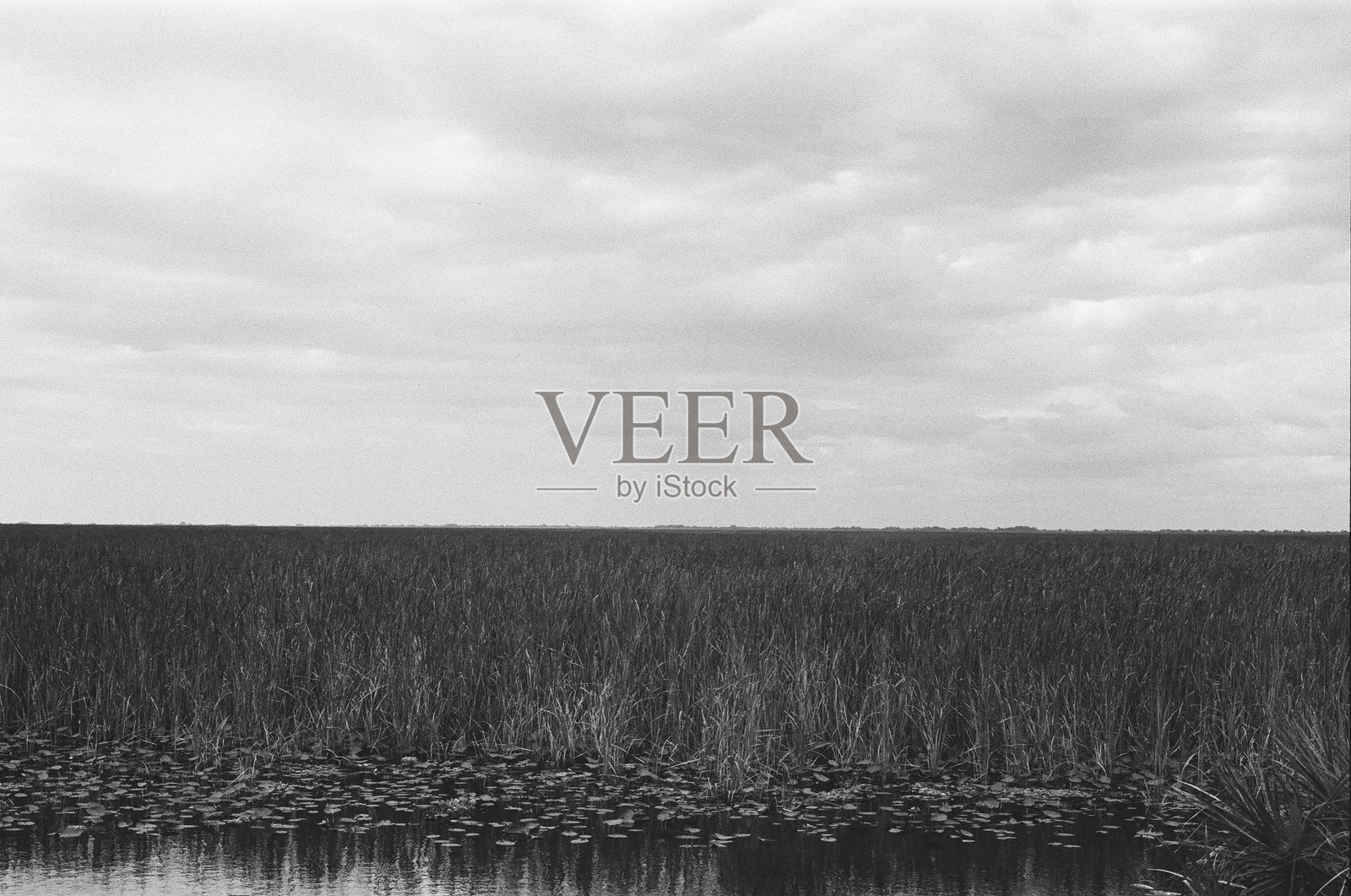 埃弗格雷德斯的黑白照片照片摄影图片